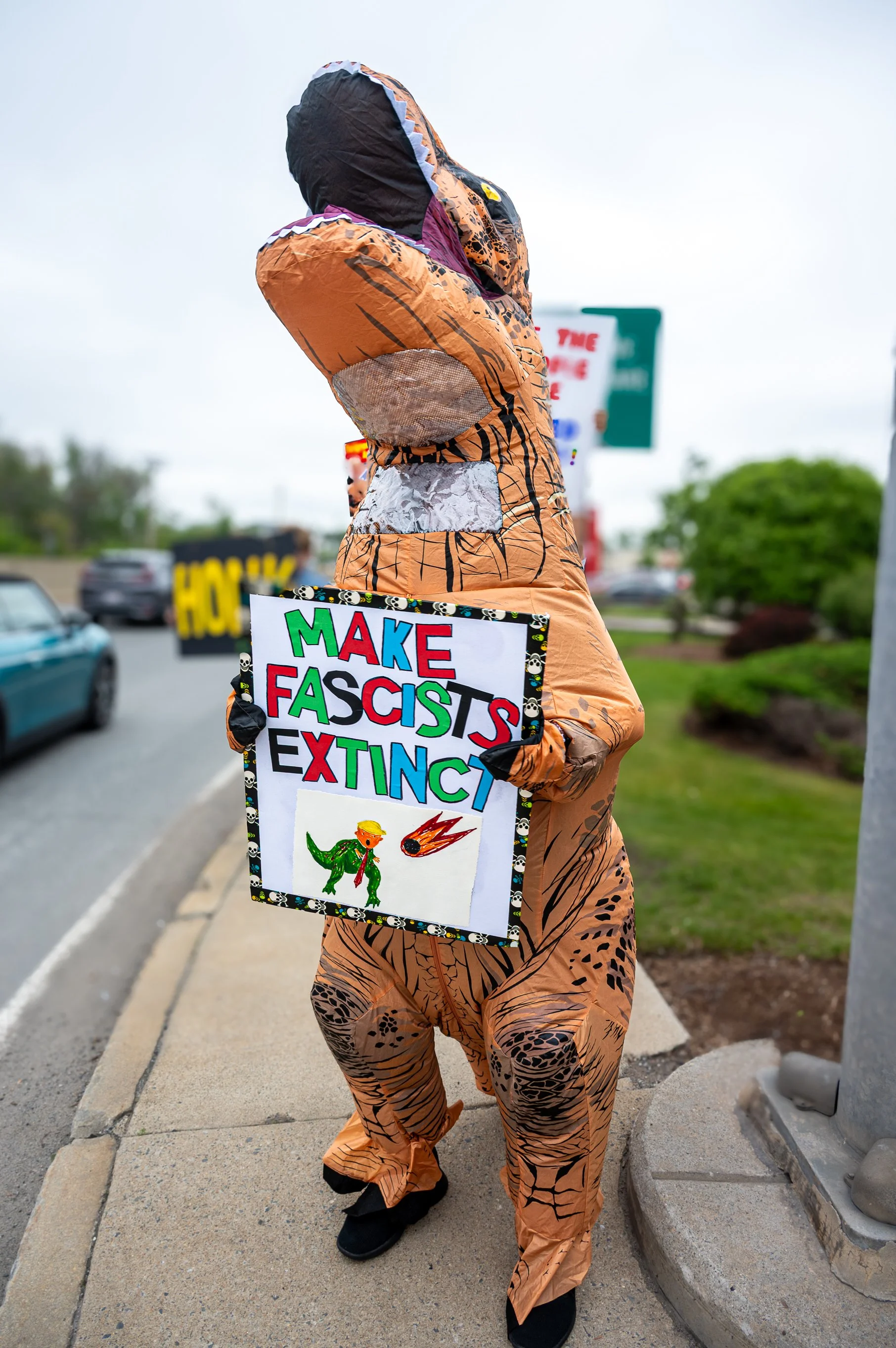Tesla Takedown Protest, Dedham MA, 2025