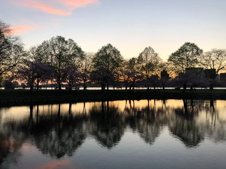 Esplanade sunset reflection, Boston MA, 2018