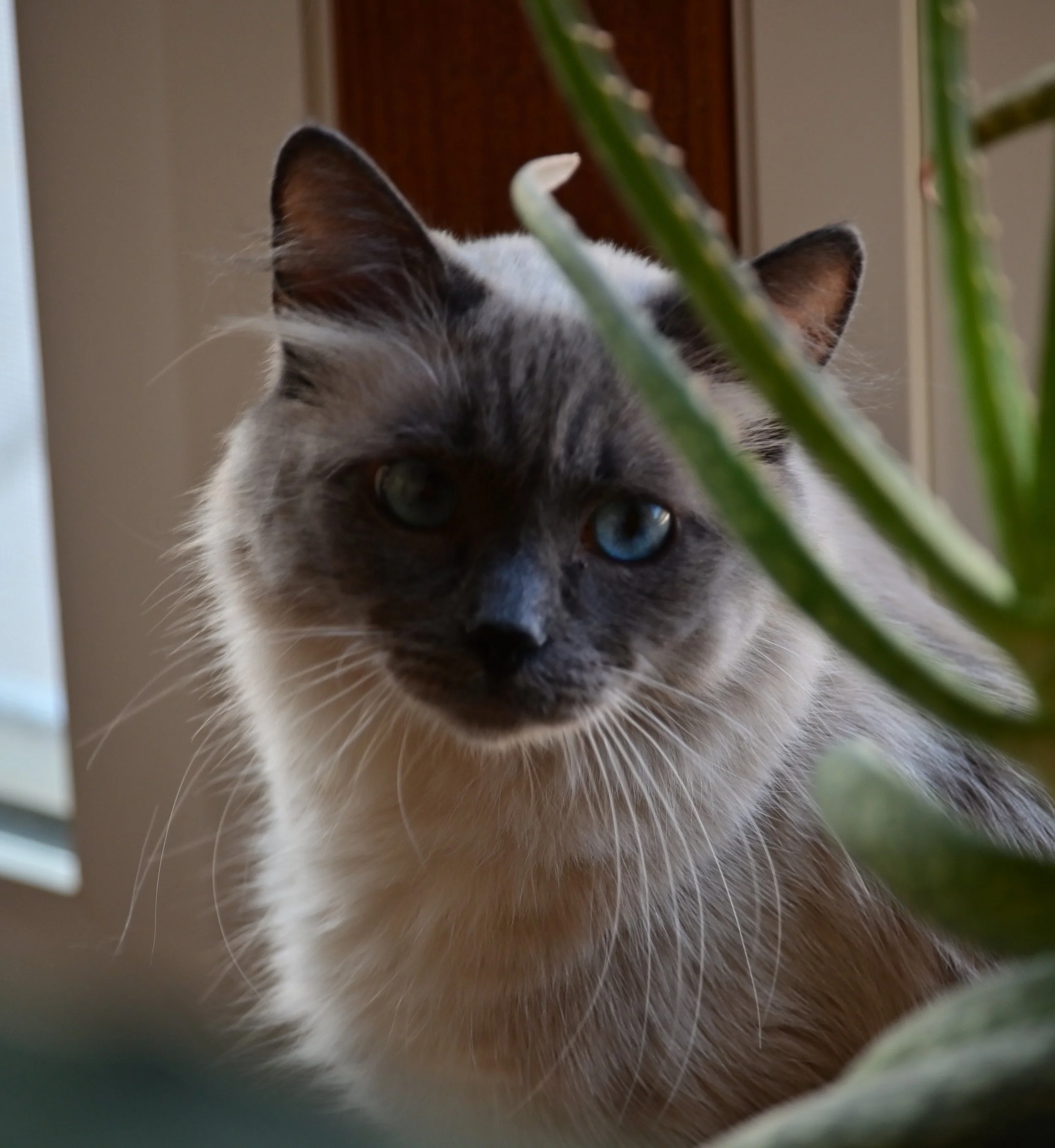 Nanja&Plant.jpg