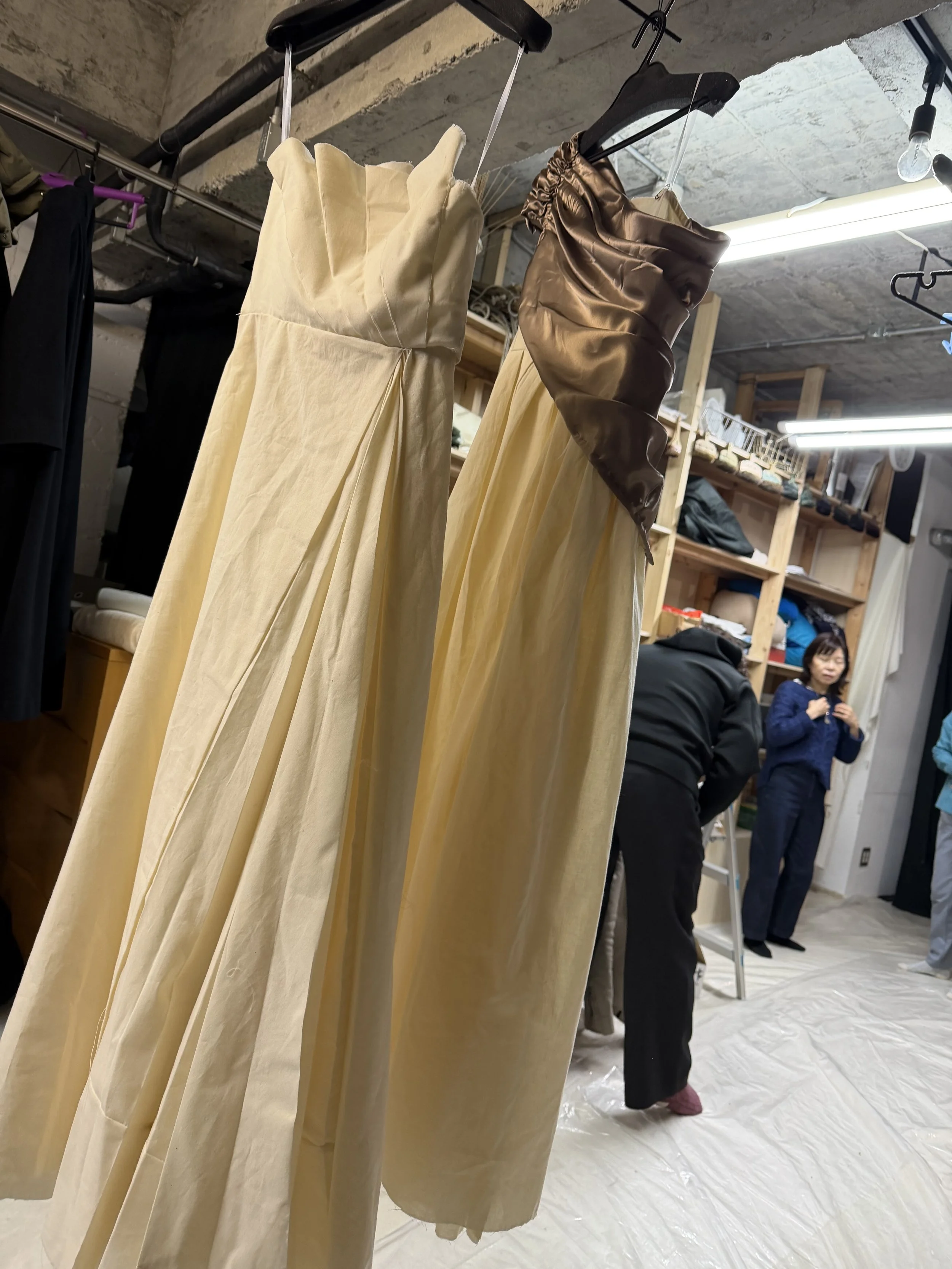 My First Fitting for the Gowns