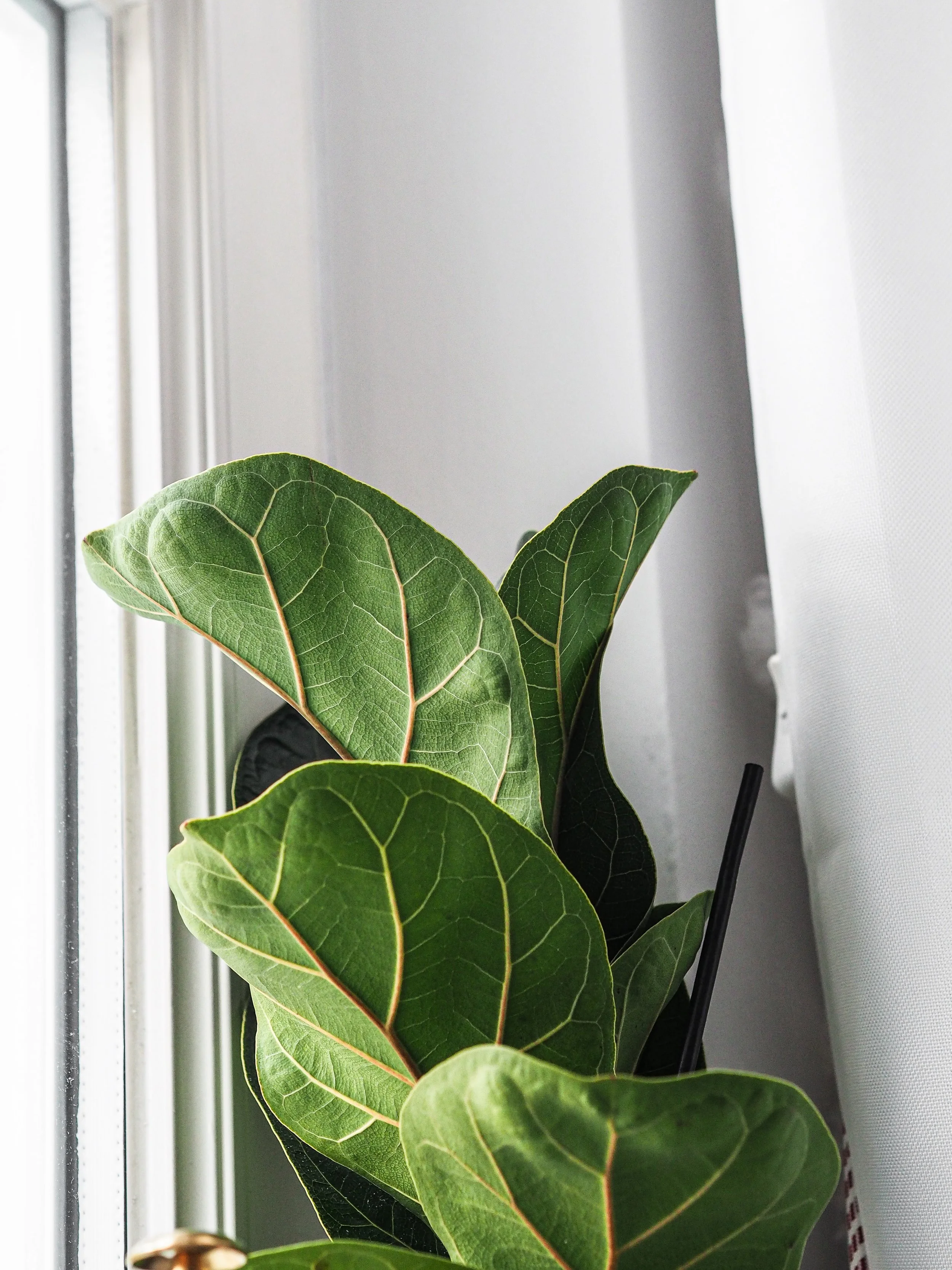 Blog Post Title Three