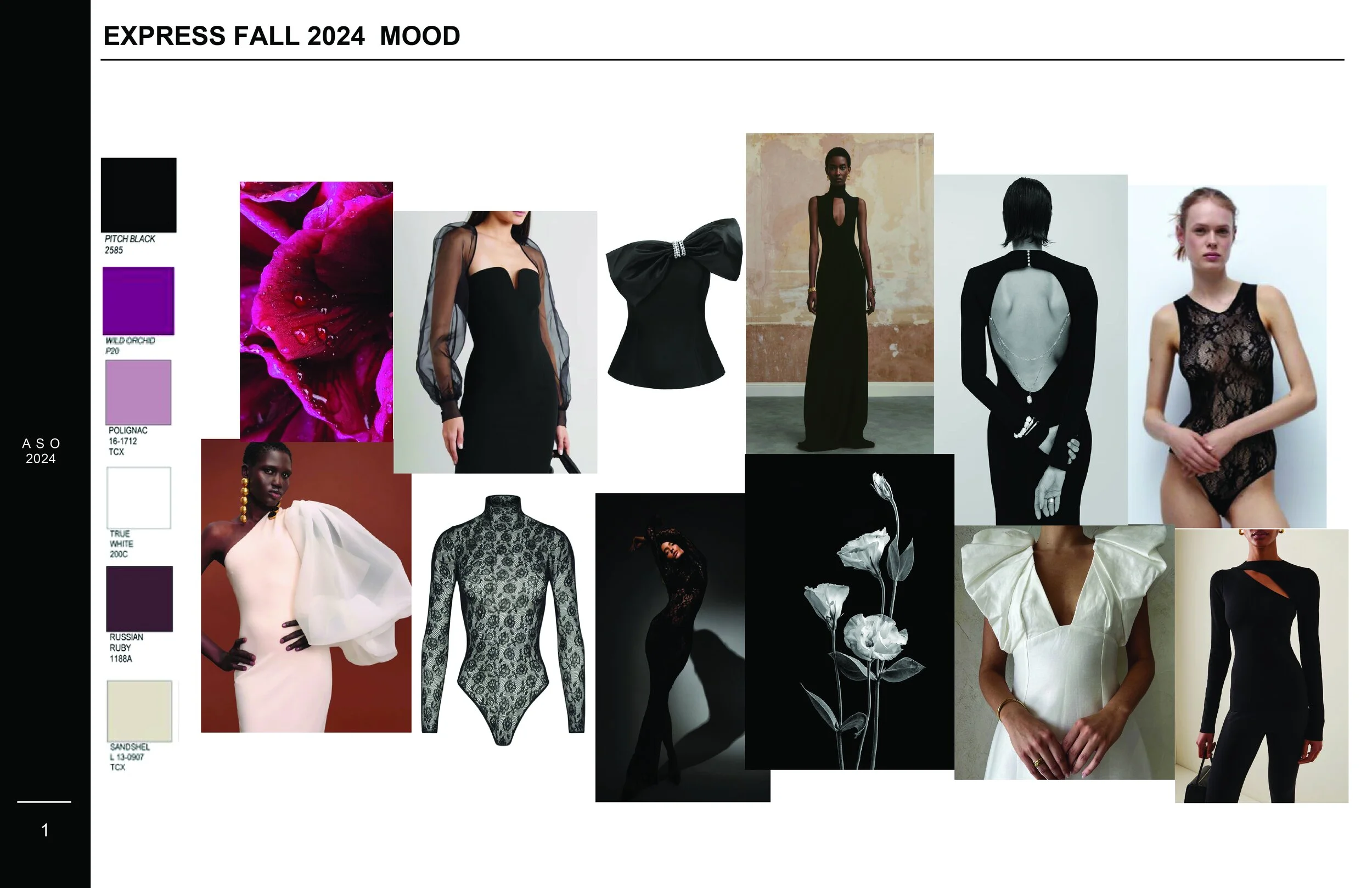 EXPRESS PORTFOLIO VU-01.jpg