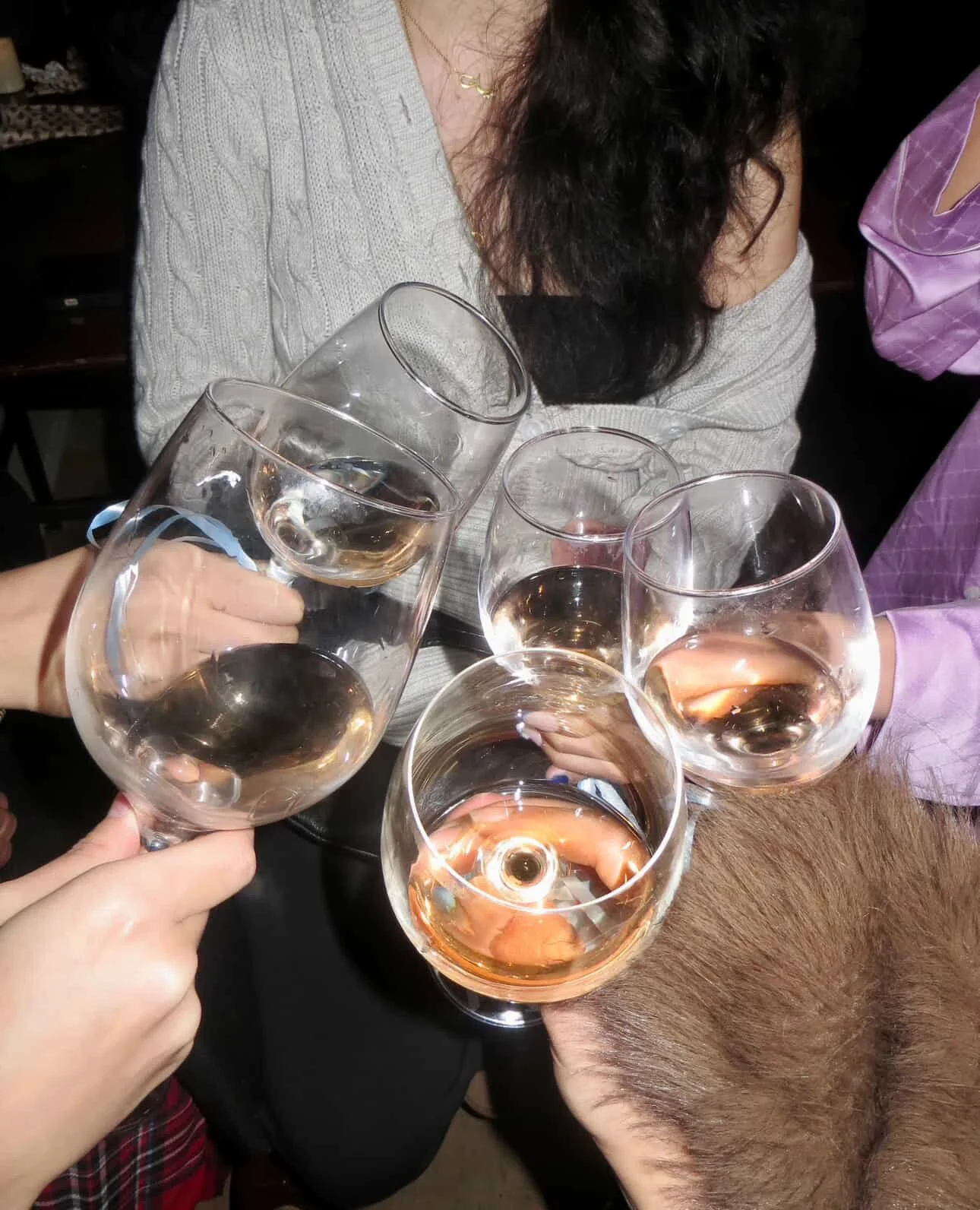 A group of people raising wine glasses for a toast, with rosé and white wine, at a social gathering.