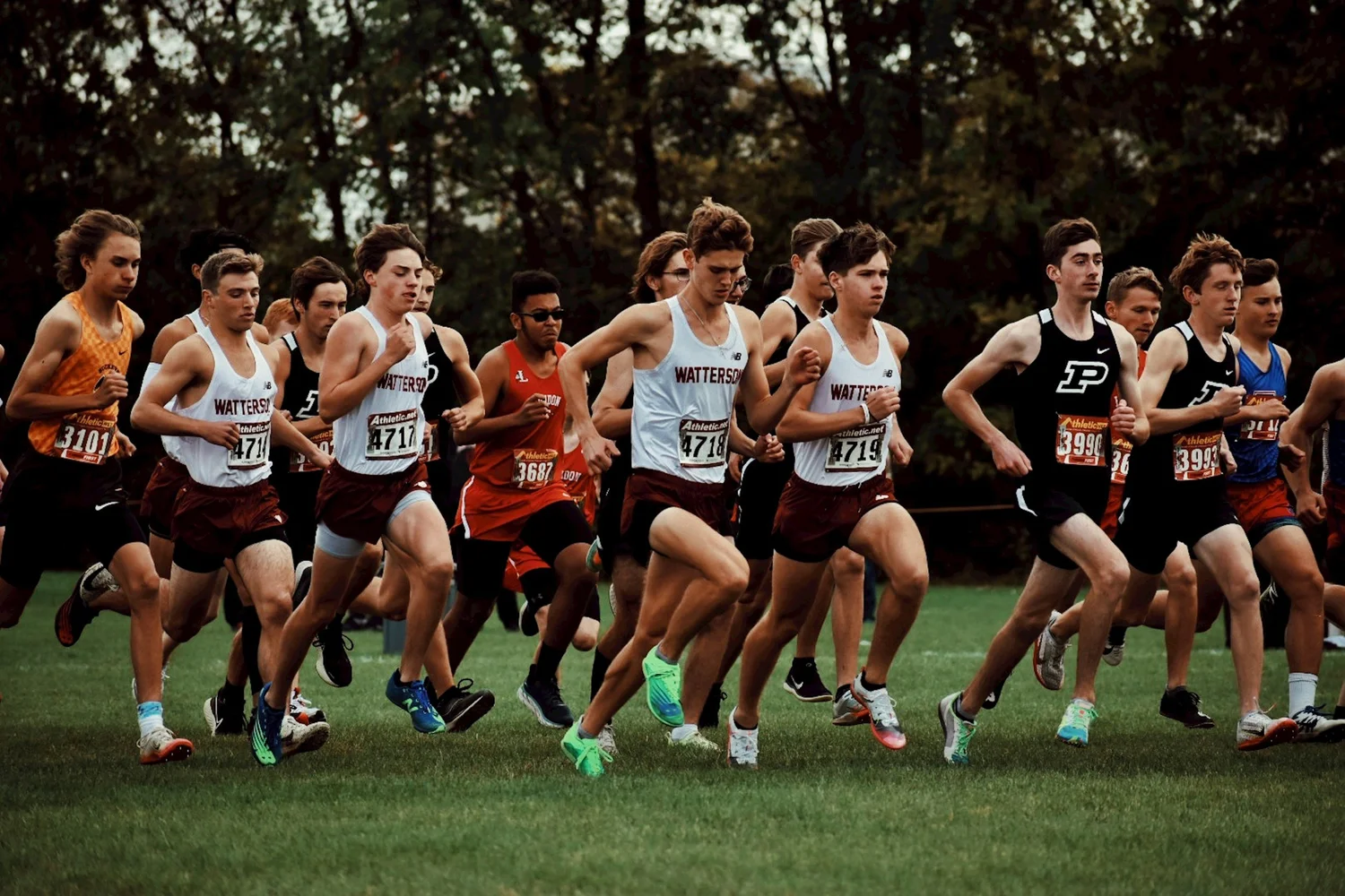 Runners in a cross country race