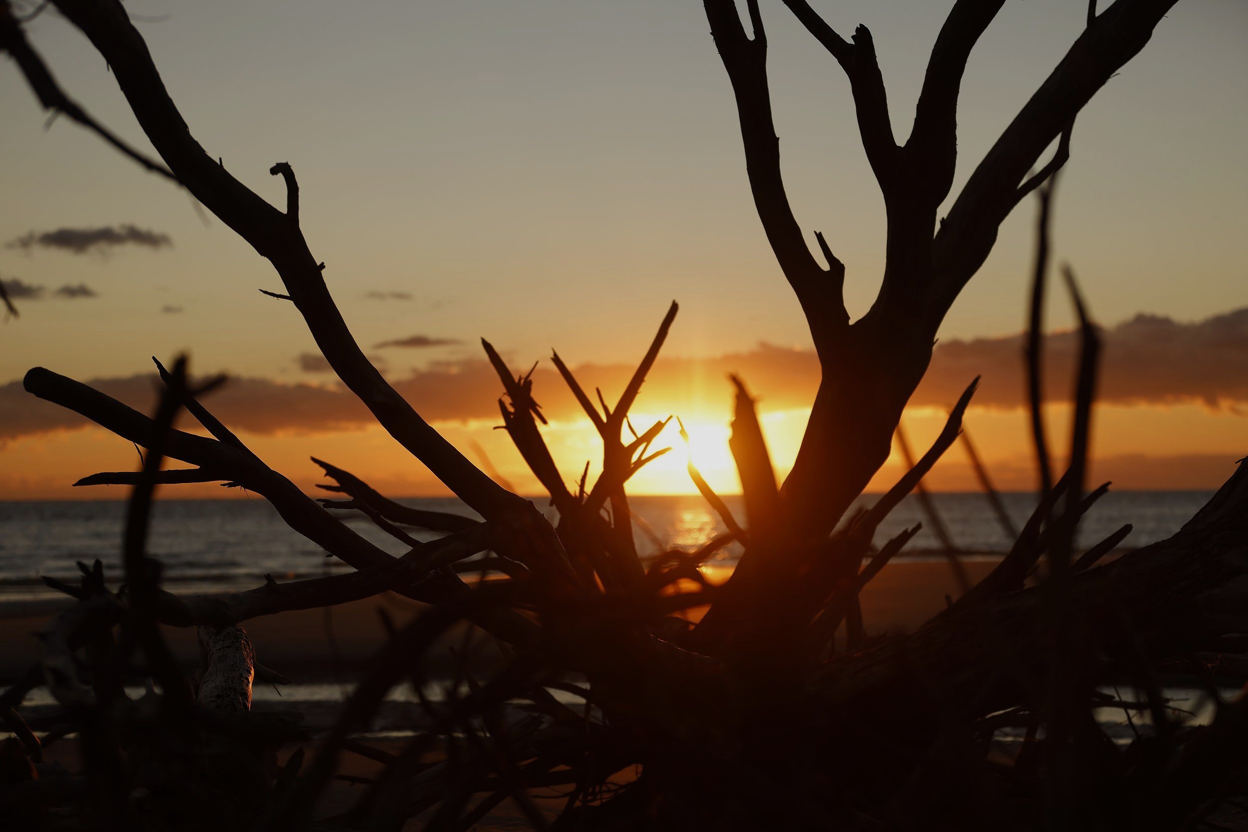 Sunrise at Boneyard beach