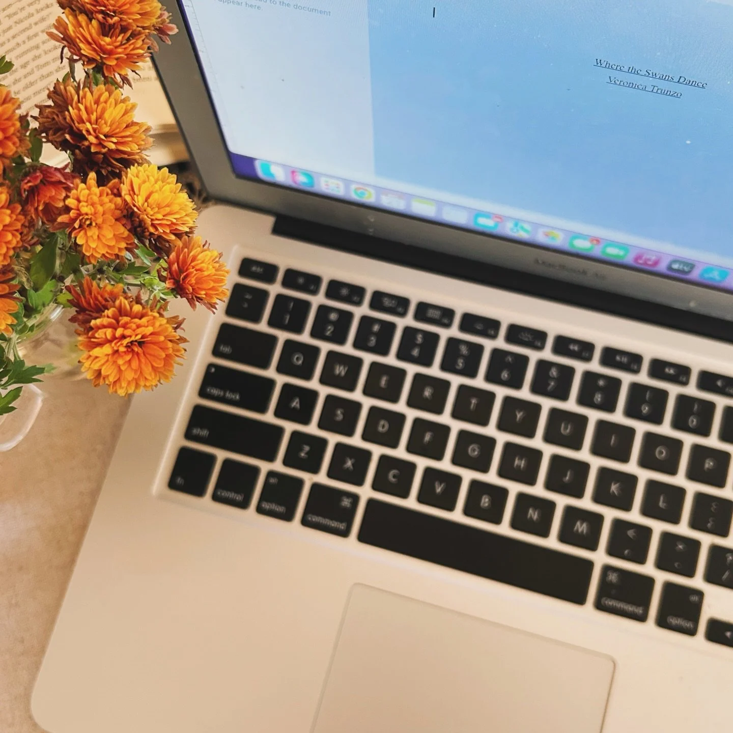 What were my priorities when trying to get my book published? It&rsquo;s simple&hellip; not giving a 🤫

I believe it&rsquo;s important to have proper priorities when trying to finish your book! So I made sure I had mine 👍

➡️ There are certain trop