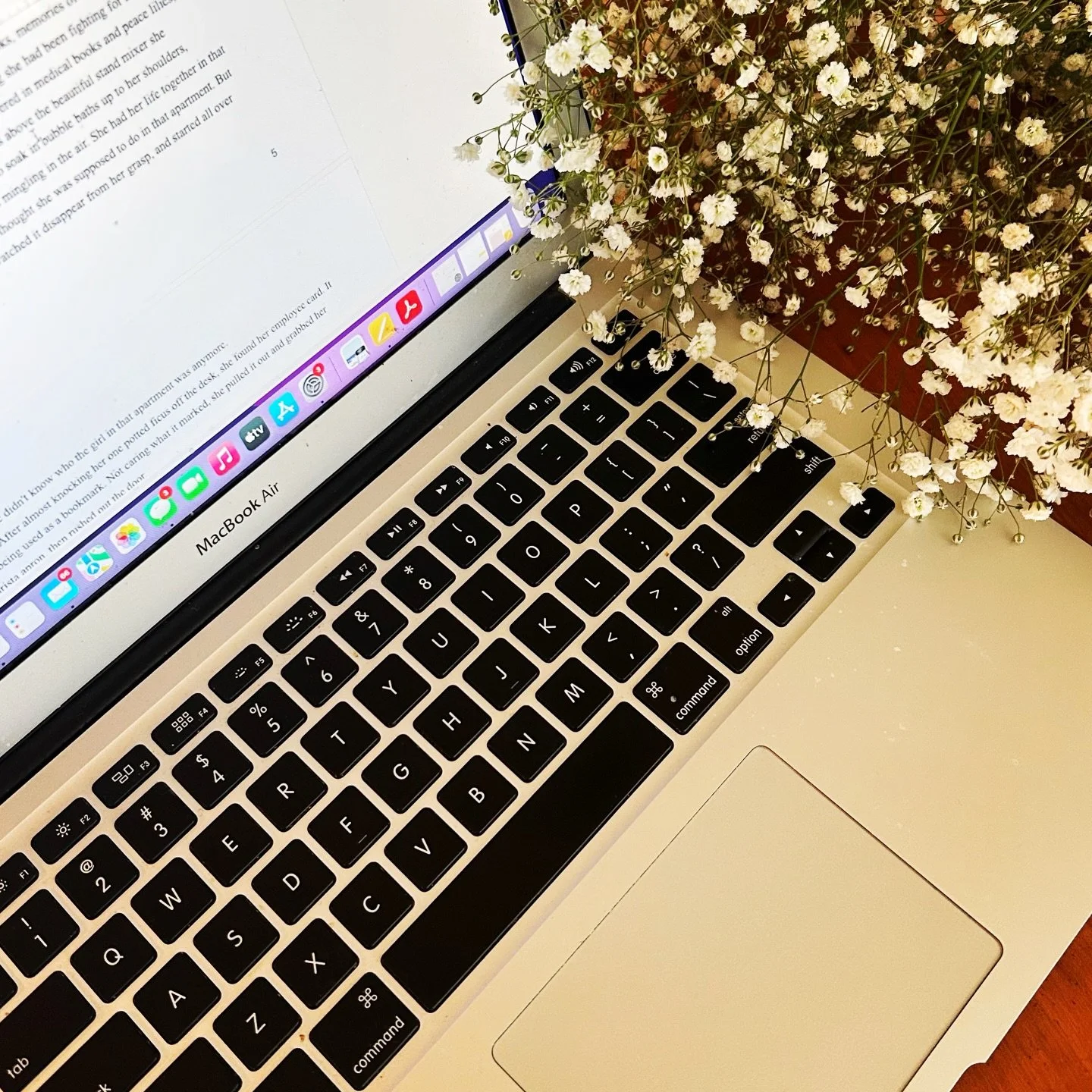 ✨Where the Swans Dance update ✨

Time to work on rewriting the first chapter! And especially the first page.

I got some helpful feedback recently from an agent saying that the book gets stronger as it goes on, but needs a stronger beginning.. especi