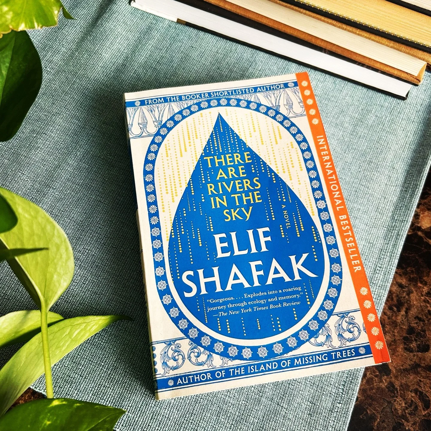 ✨BOOK REVIEW✨

There are Rivers in the Sky - Elif Shafak 
⭐️⭐️⭐️⭐️⭐️

A raindrop falls into ancient Mesopotamia, and centuries later, that same drop holds all its memories, and connects the lives of three people: A British archaeologist, a Yazidi gir