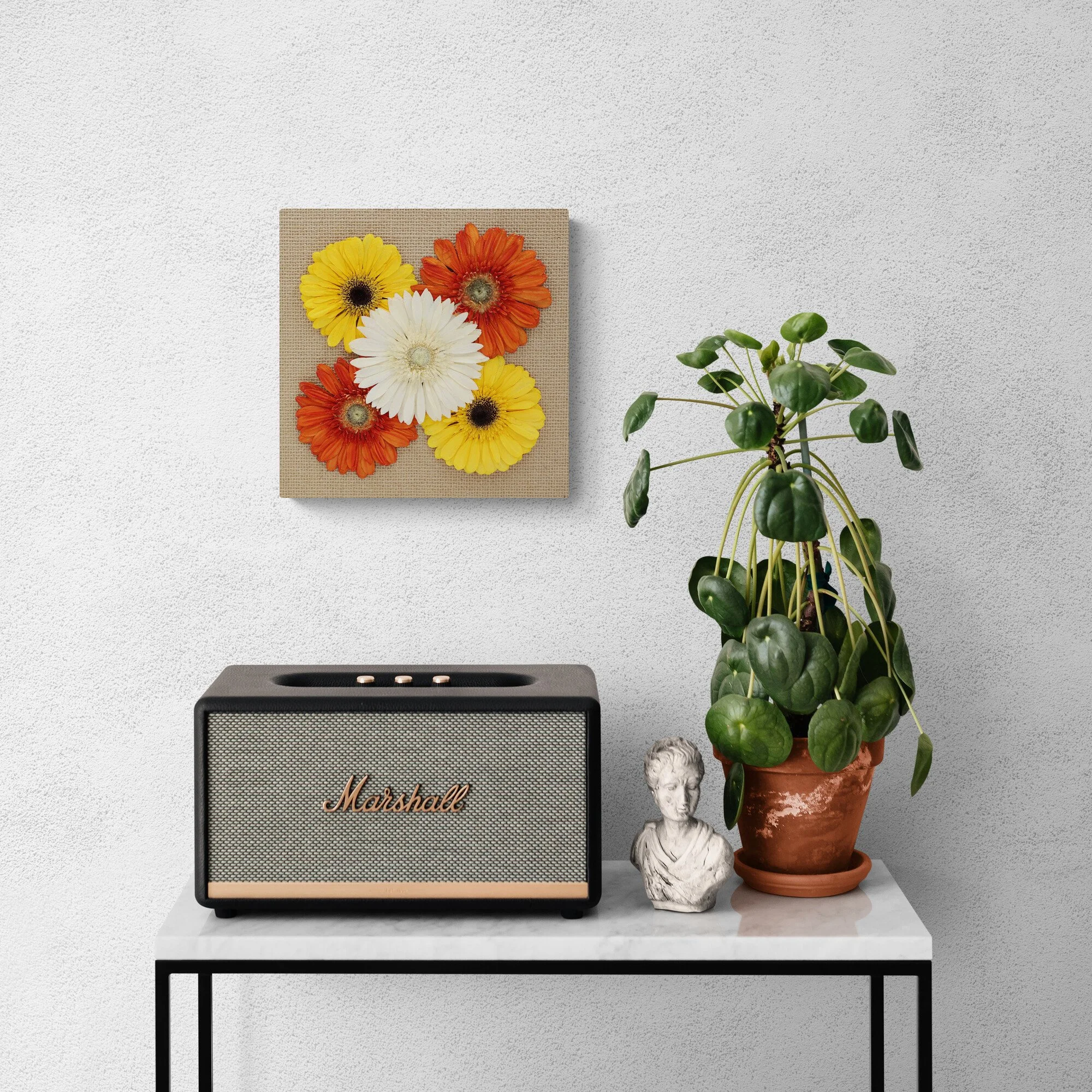 console-table-with-a-speaker-and-potted-plant.jpg
