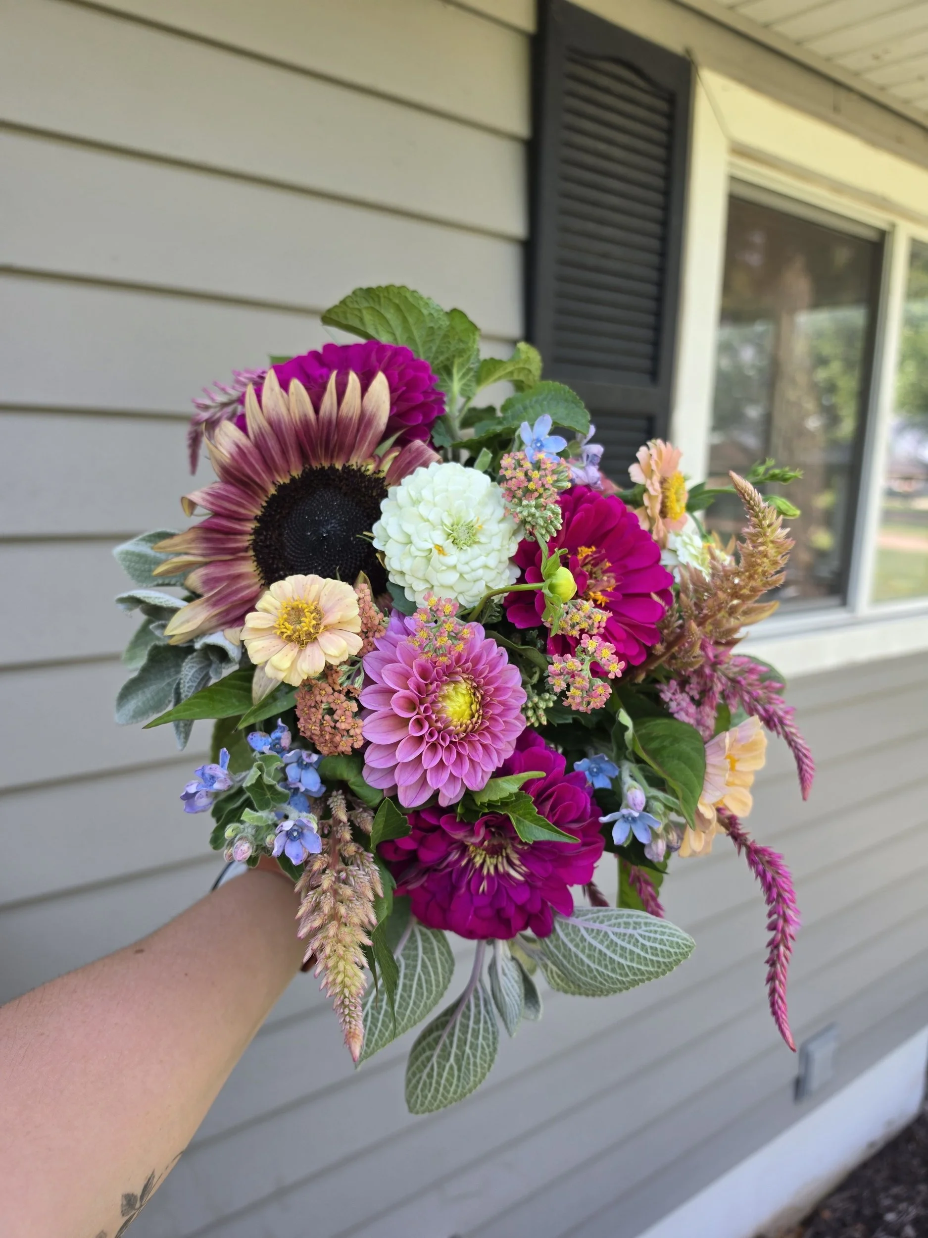 processed_230718.jpg