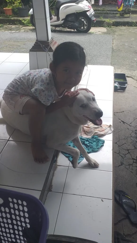 A young girl hugging a large white dog with a happy expression, sitting on a tiled porch outside. In the background, there is a scooter, some potted plants, and outdoor laundry hanging.