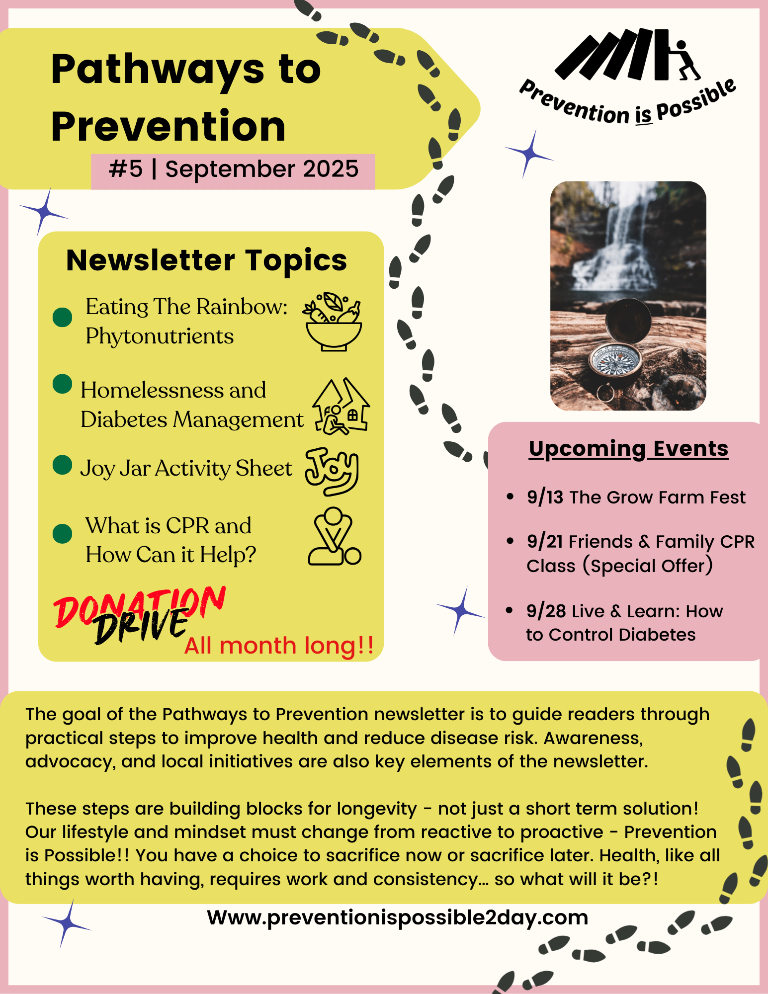 PIP Newsletter 5 Intro.png