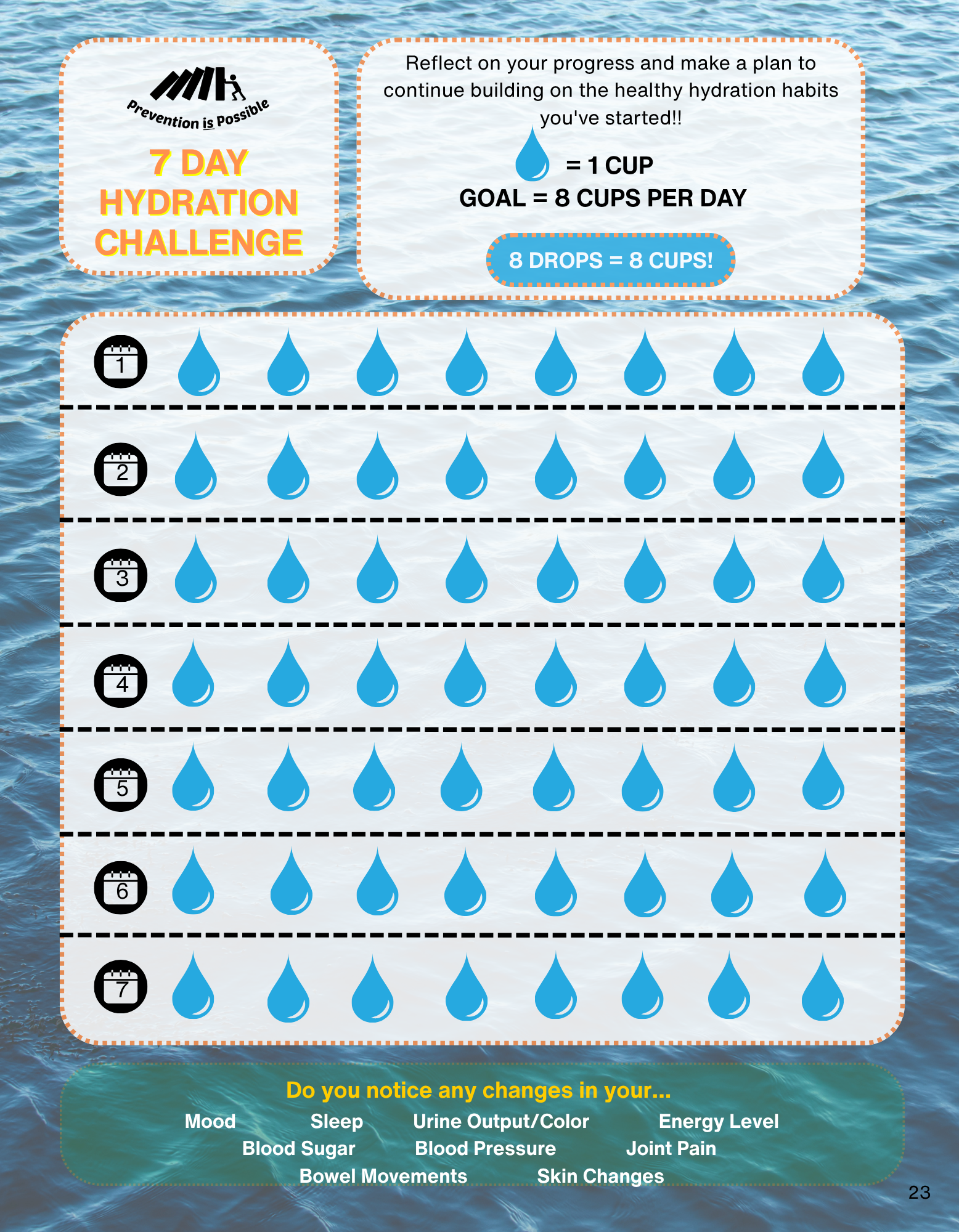 PHL - Puzzles & Trackers (4).png (Copy)