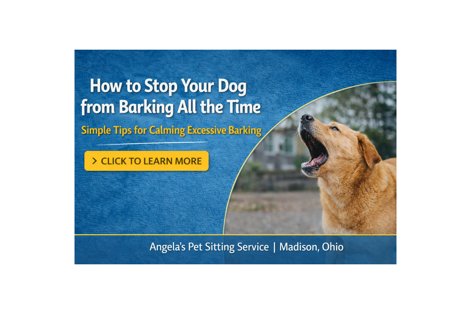 How to Stop Your Dog from Barking All the Time (From a Pet Sitter Who Hears It All )