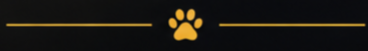 Gold paw print logo on a black background with yellow lines.