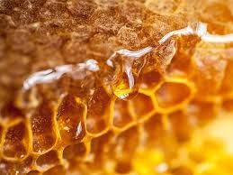 honeycomb.jpeg