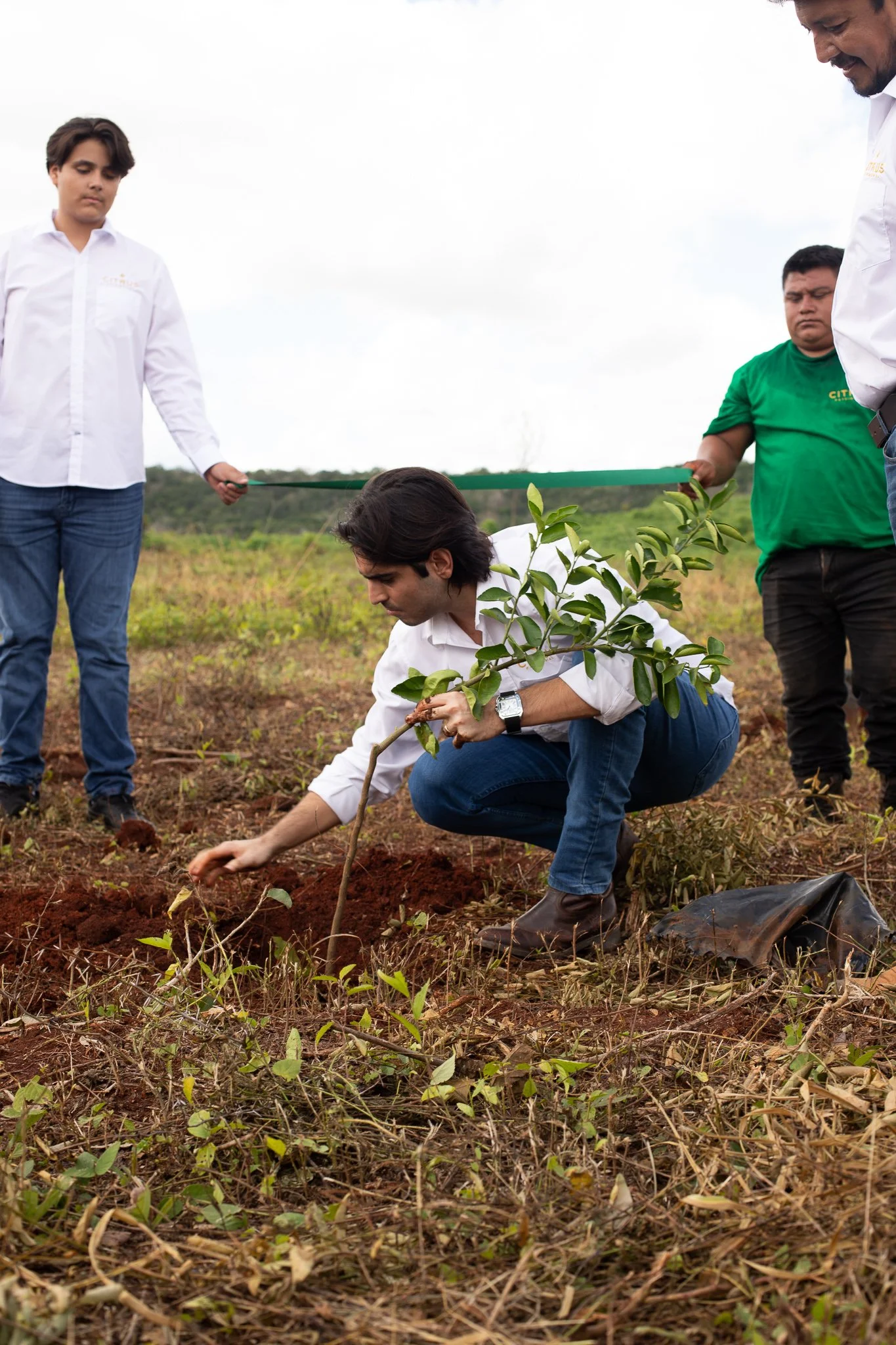 Atención cercana para asegurar que el dinero sí crezca en los árboles