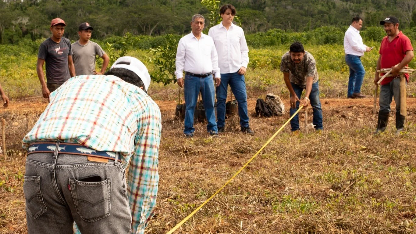 Un grupo de personas en un campo, algunos midiendo con una cinta métrica y otros observando, parece que están realizando una actividad de campo o investigación agrícola o ambiental.