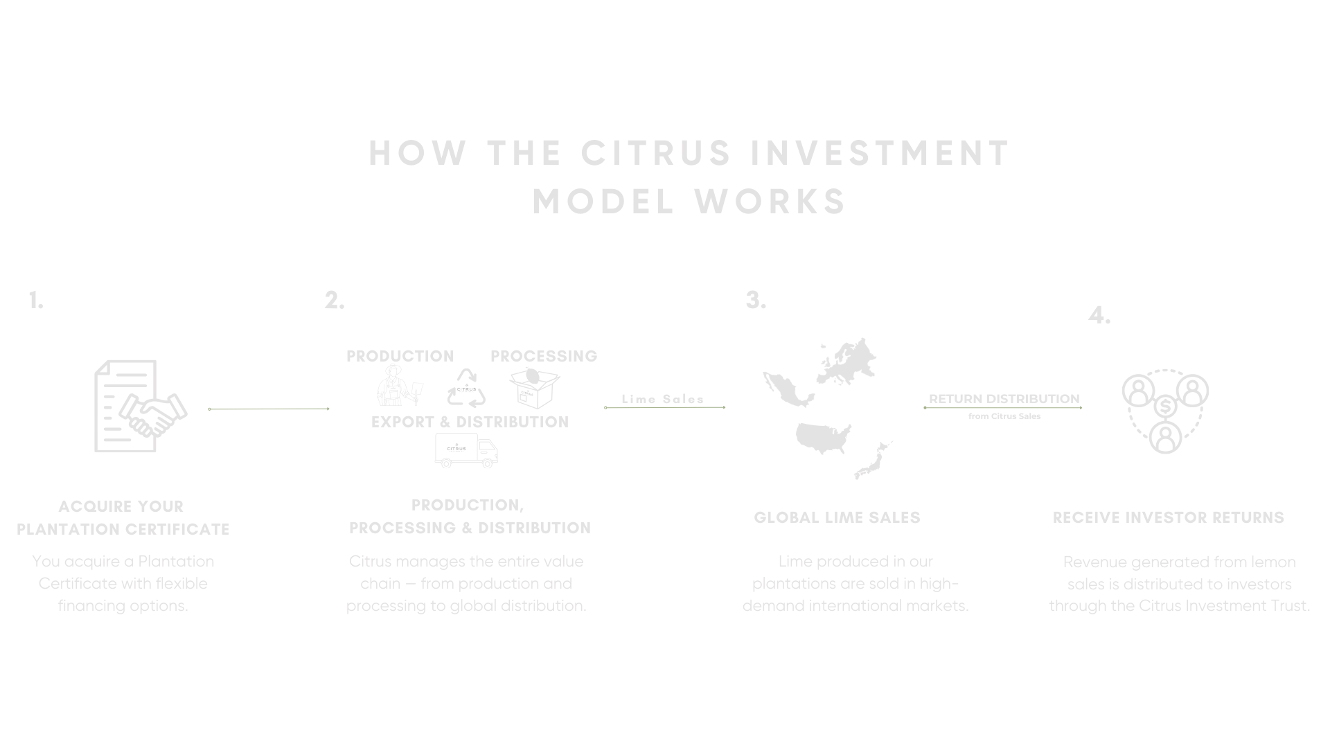 Diagrama del modelo de inversión en cítricos, que muestra la adquisición de certificado de plantación, producción, procesamiento y distribución, ventas internacionales de lima, distribución a inversores y retorno de inversión.