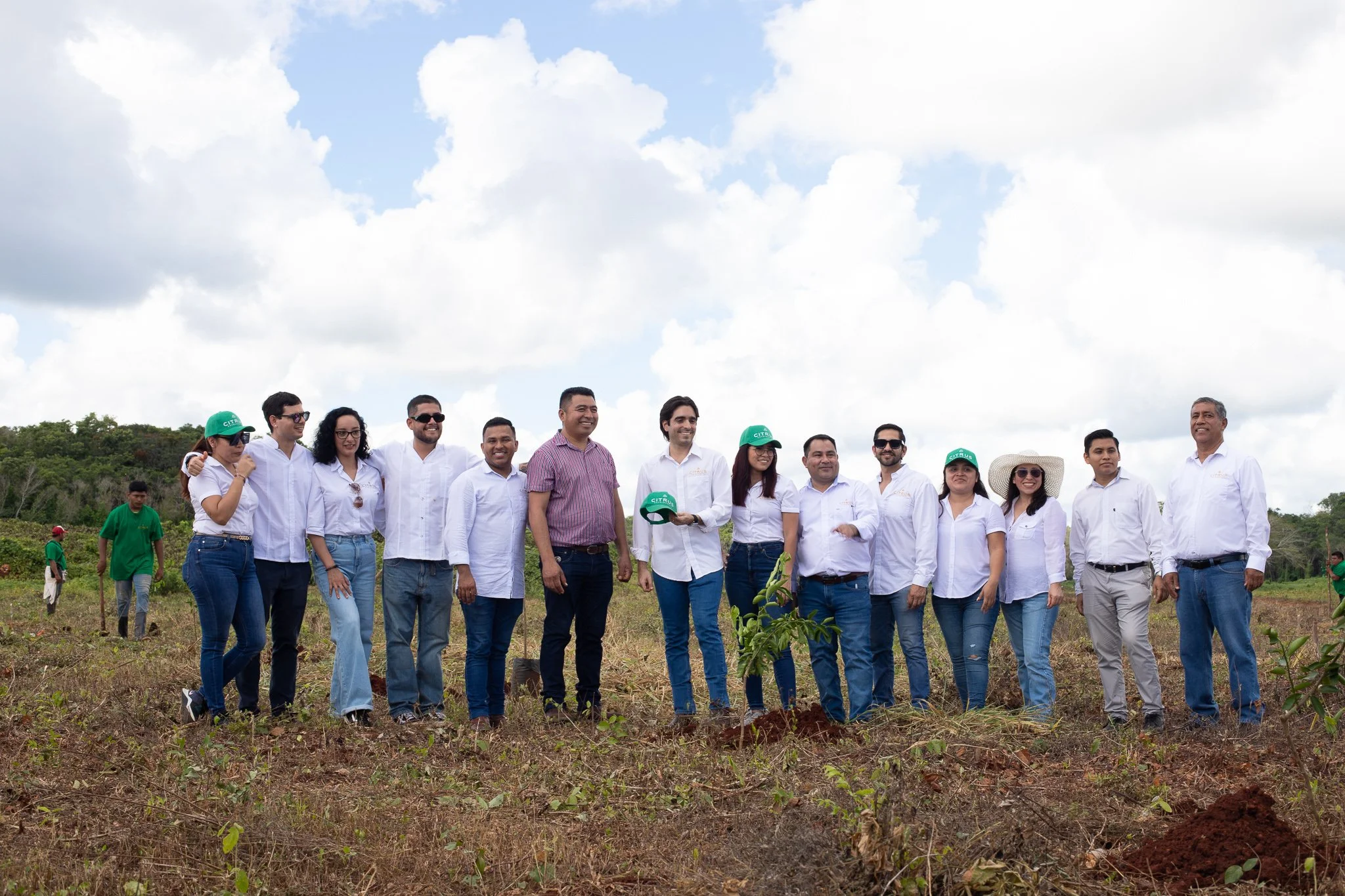 Fideicomiso patrimonial: porque el dinero sí crece en los árboles con visión