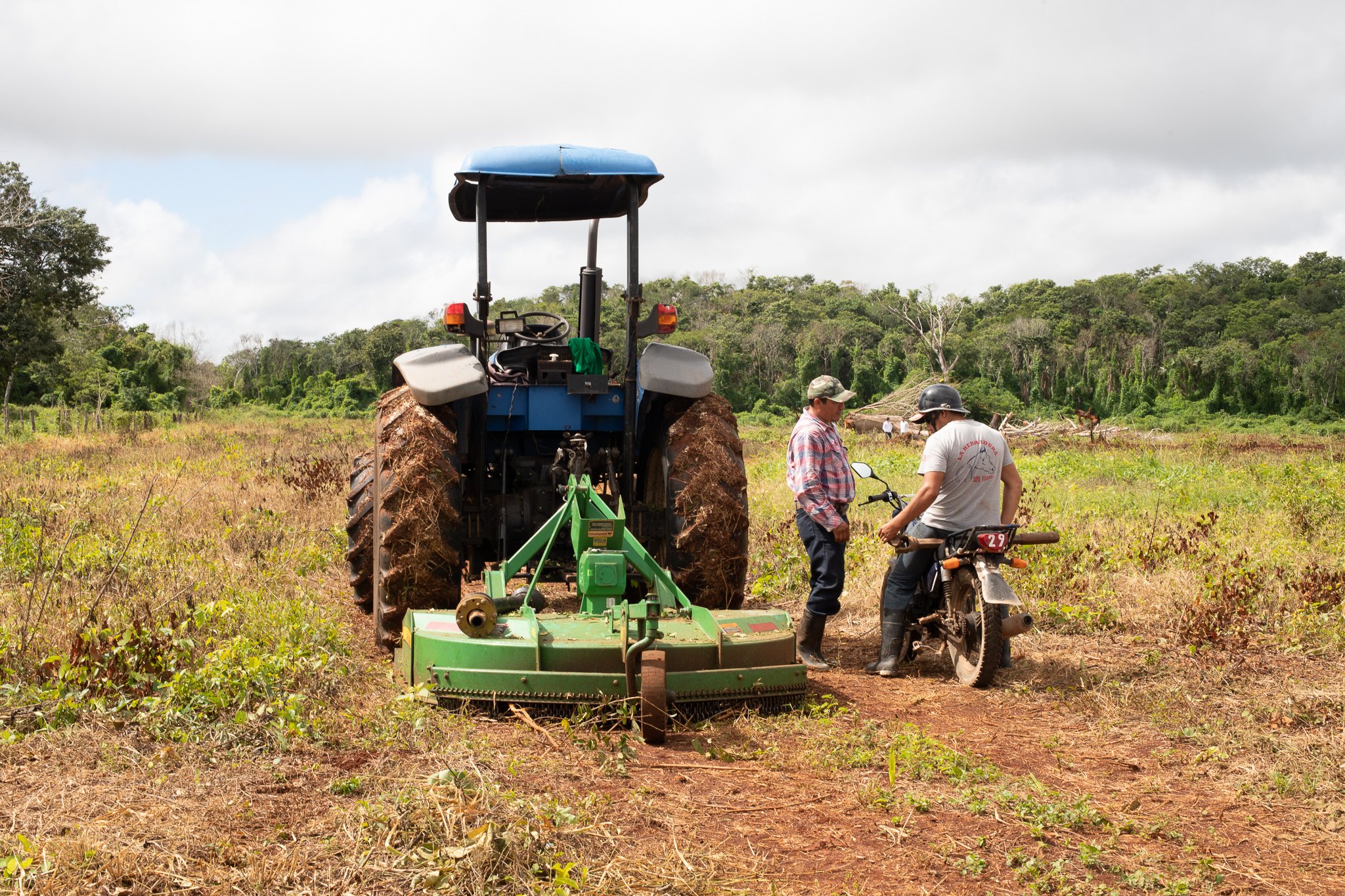 Habla con un asesor y descubre cómo el dinero sí crece en los árboles