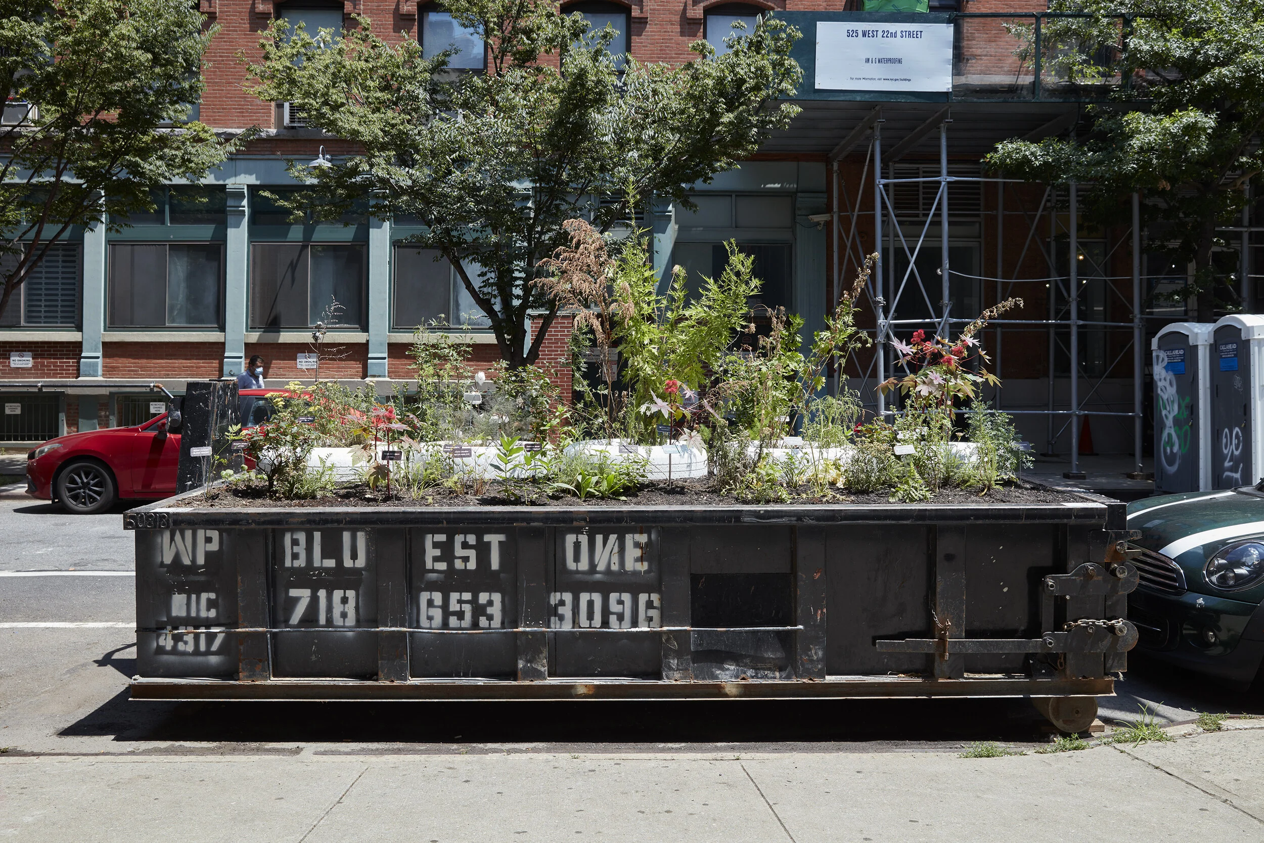 "Goings on About Town: Marlene McCarty."