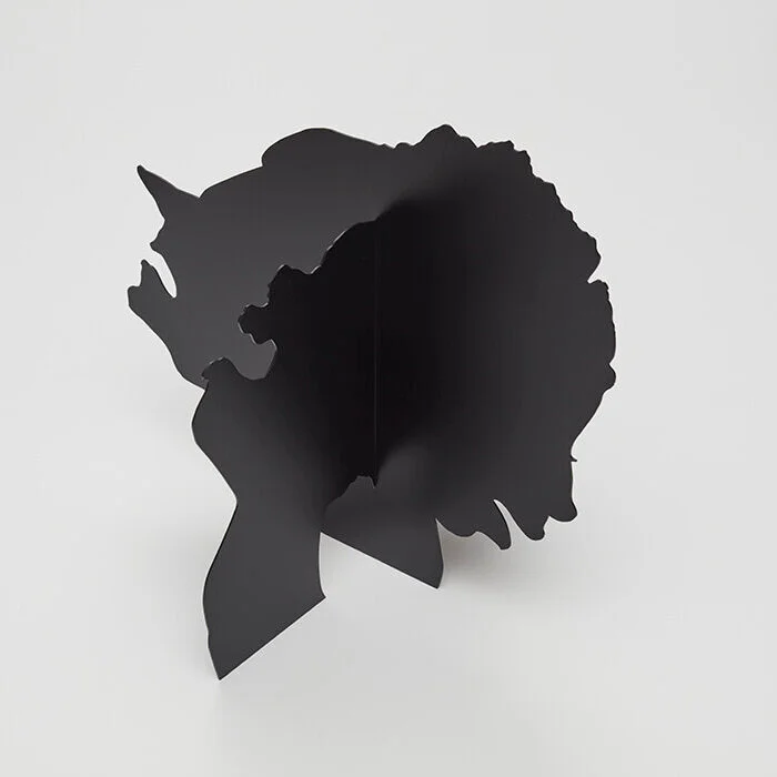 JEFFREY GIBSON, KAY ROSEN, ERIN SHIRREFF, KARA WALKER