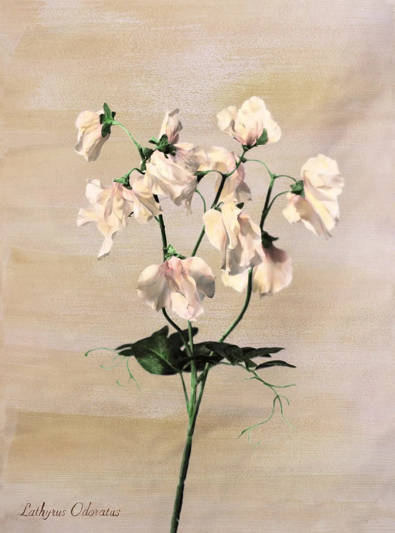 Vik Muniz at Museo Universidad de Navarra