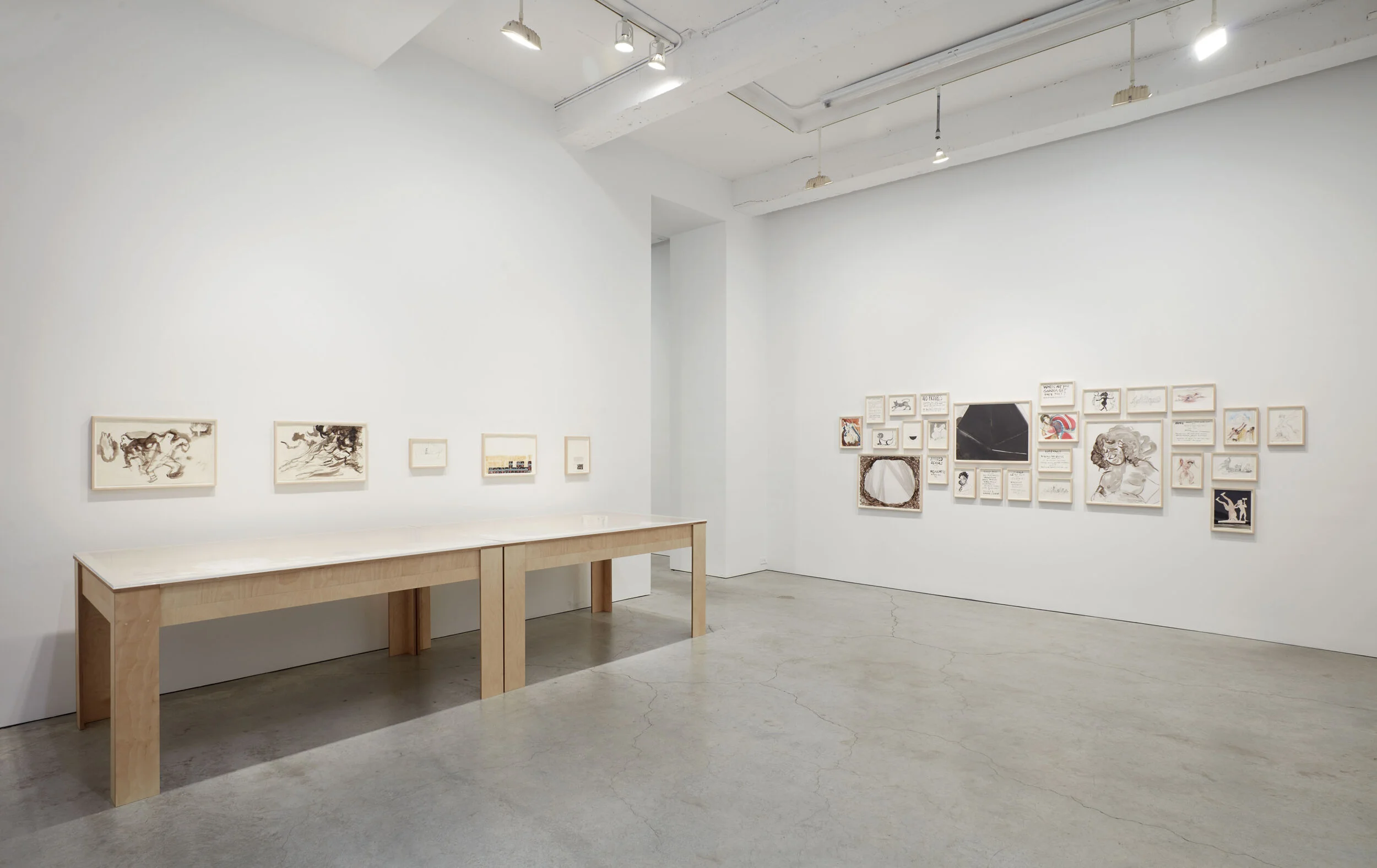 Walker installation view SJCo 3-2020 24.jpg