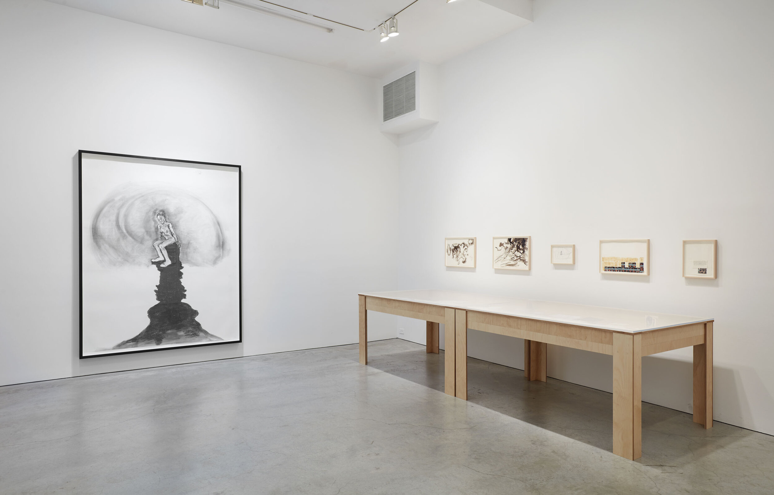 Walker installation view SJCo 3-2020 20.jpg