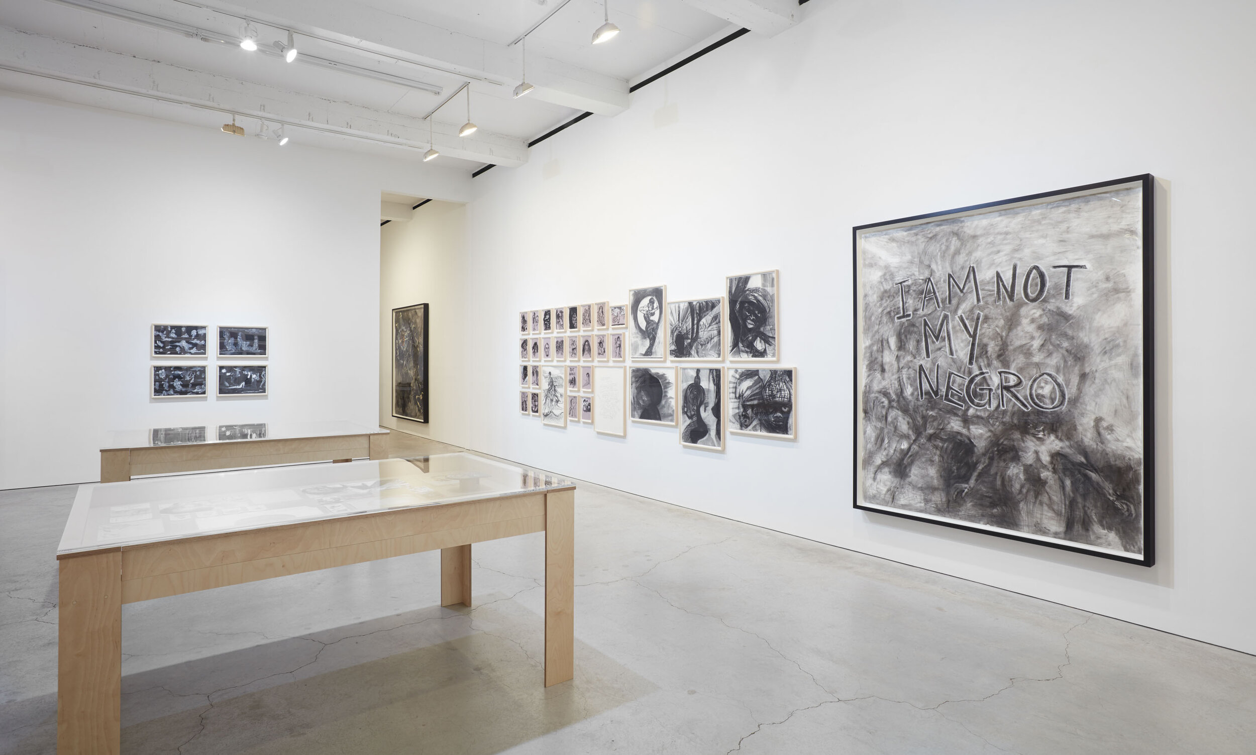 Walker installation view SJCo 3-2020 13.jpg