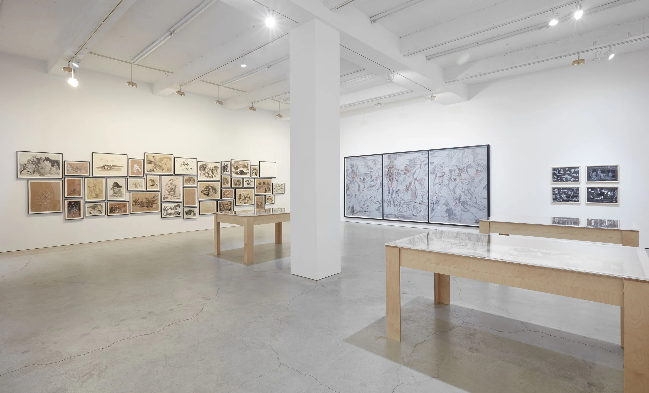 Walker installation view SJCo 3-2020 12.jpg