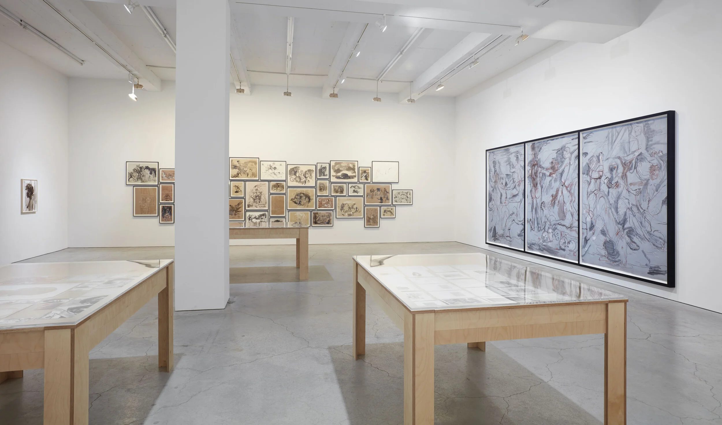 Walker installation view SJCo 3-2020 10.jpg