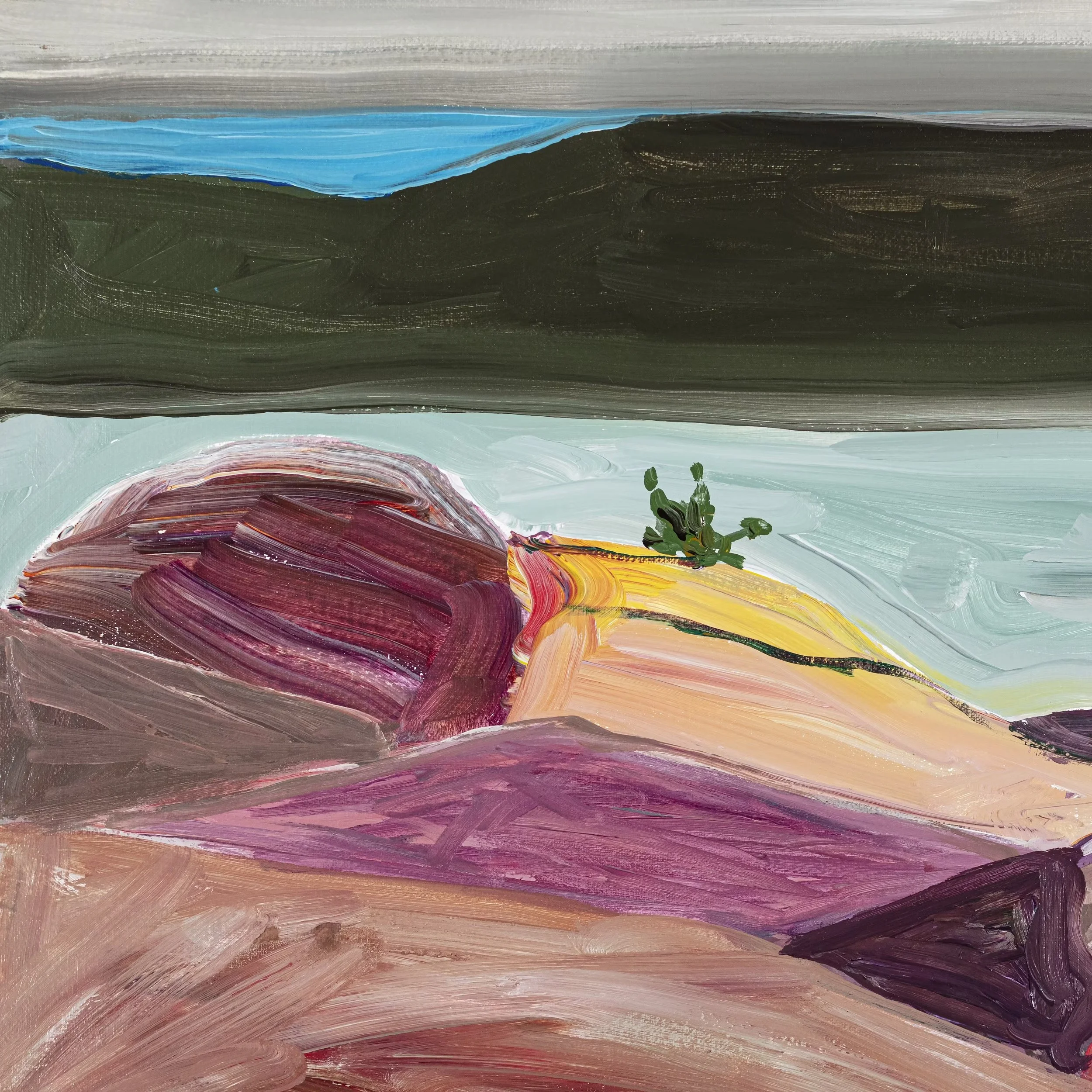 Luiz Zerbini in Afinidades III - Cochiho