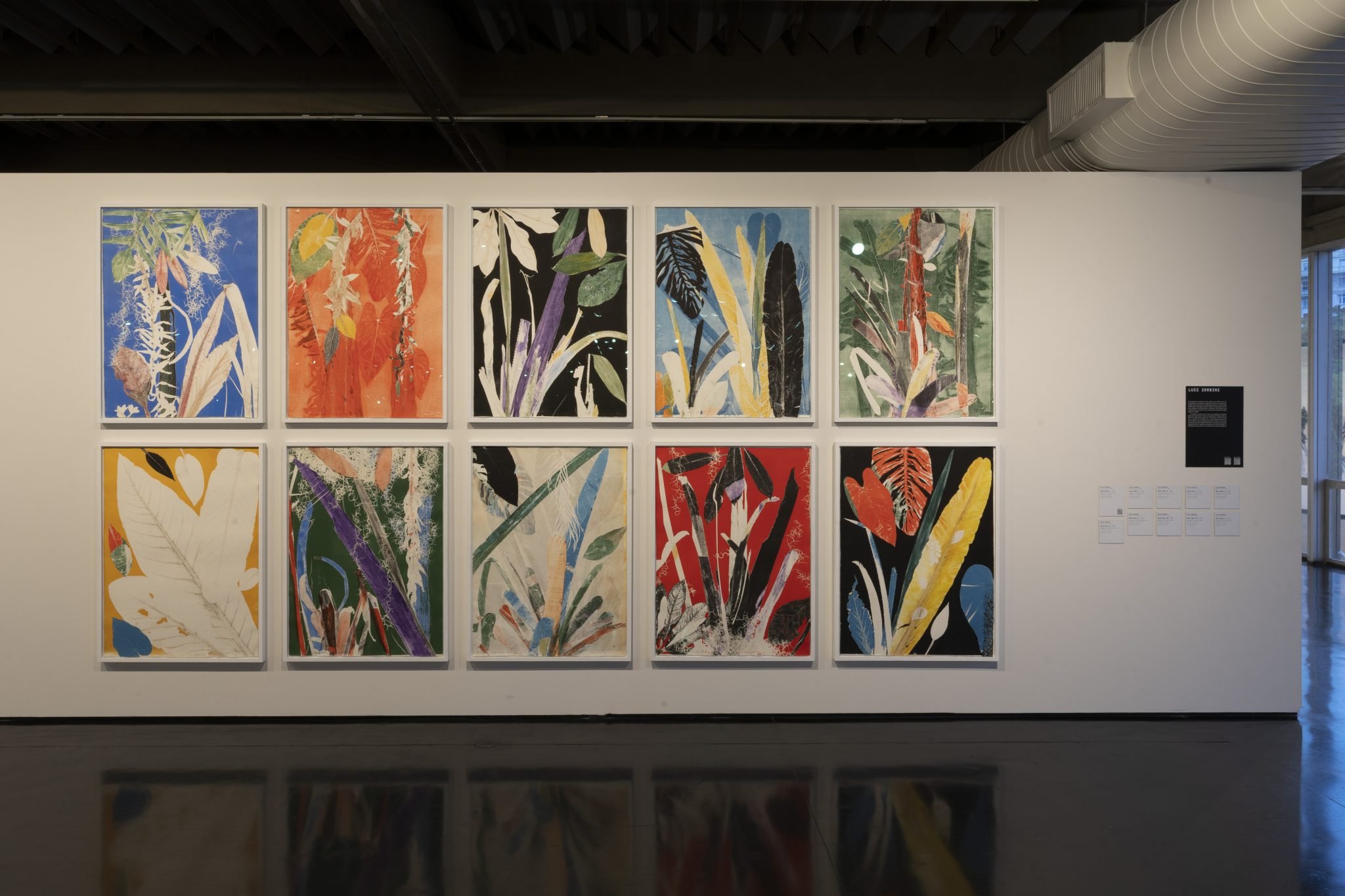 Luiz Zerbini at MAM Rio