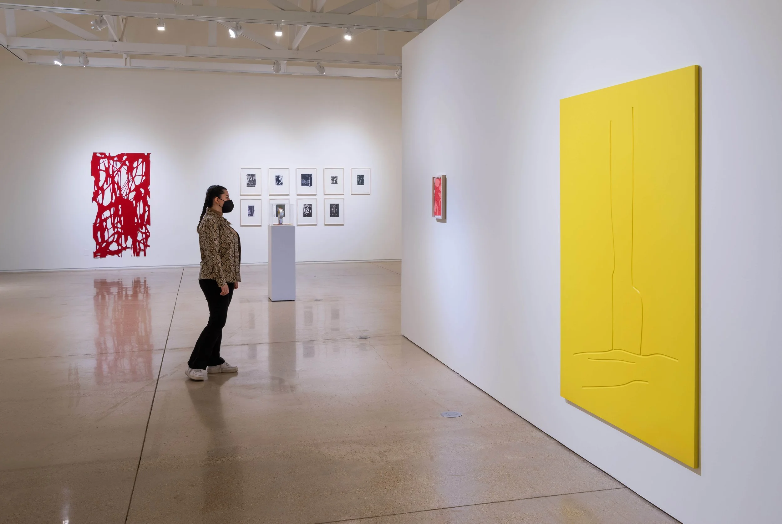 Arturo Herrera at Ruby City