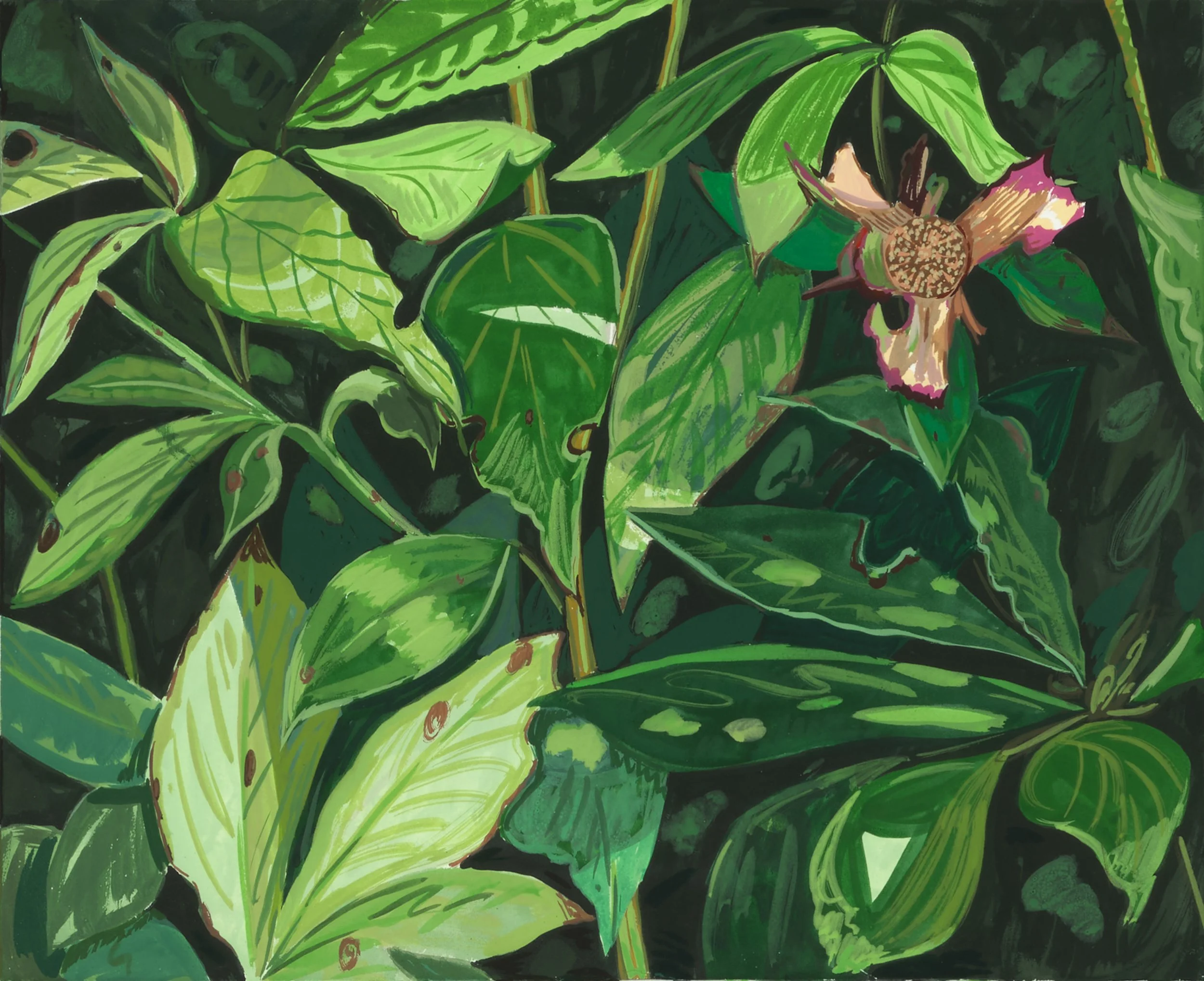 "Josephine Halvorson: Unforgotten."