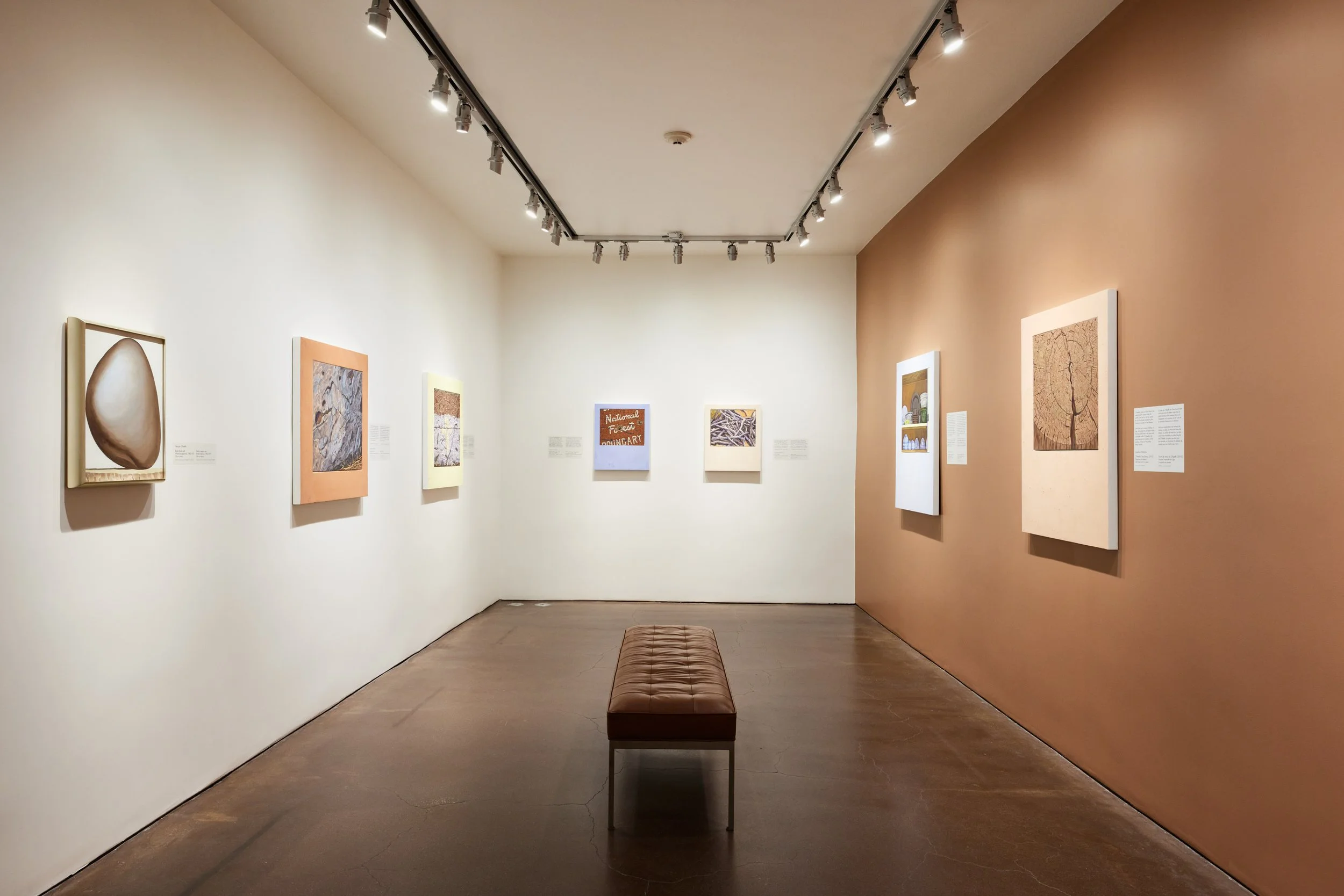 "Review: Josephine Halvorson at Georgia O’Keeffe Museum."