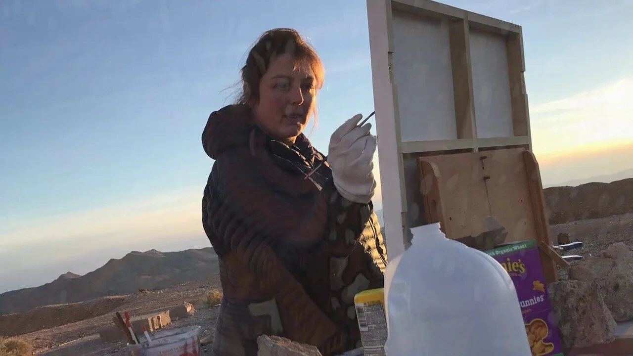 VIDEO: "Studio Visit: Josephine Halvorson | Institute of Contemporary Art/Boston."