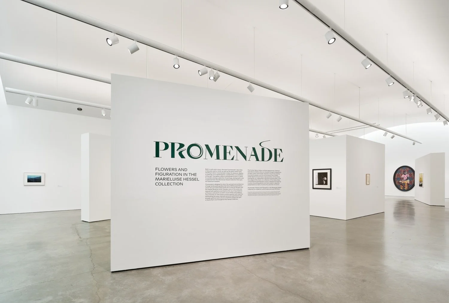 Nikki S. Lee at CCS Bard