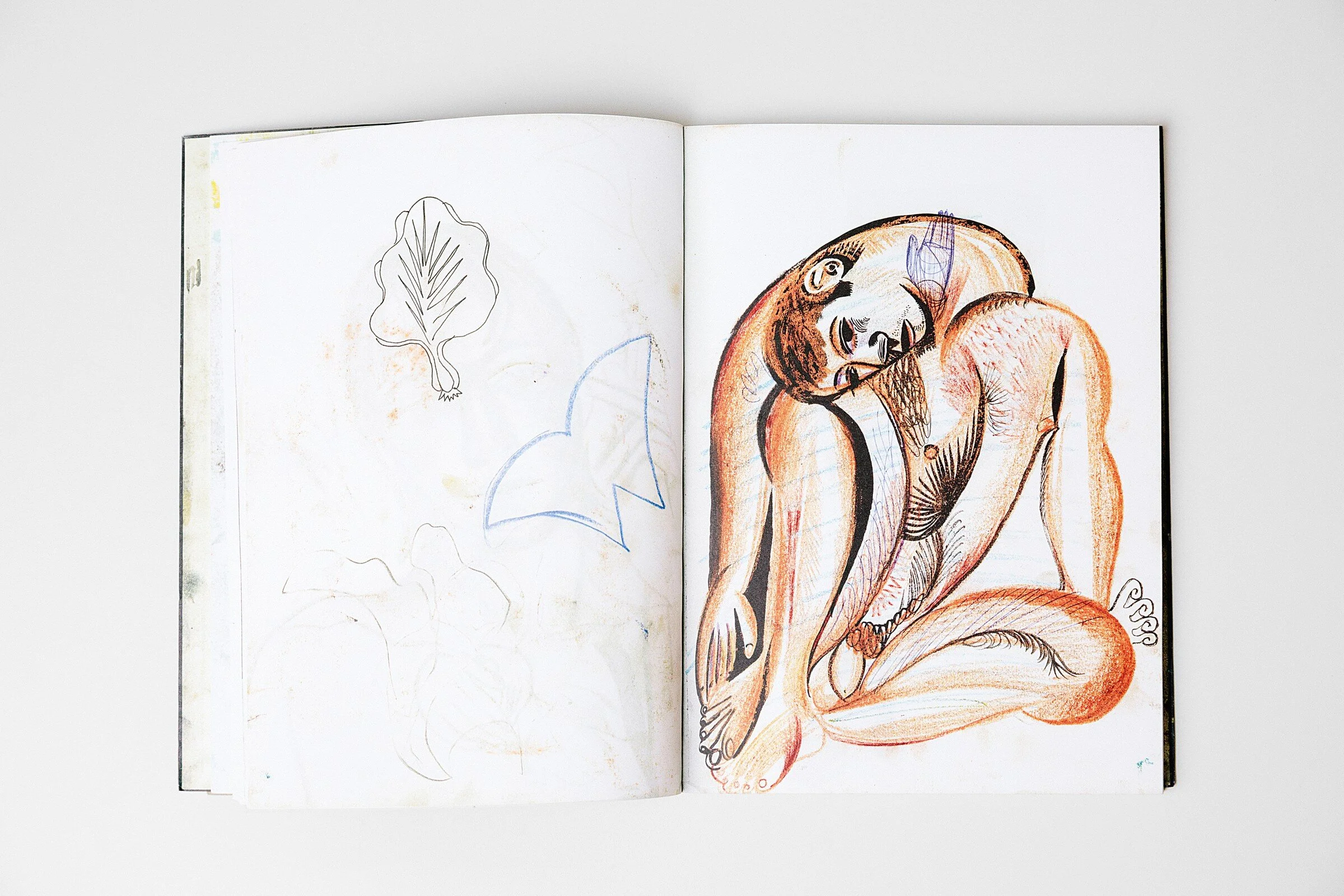 "Private Pages Made Public." 