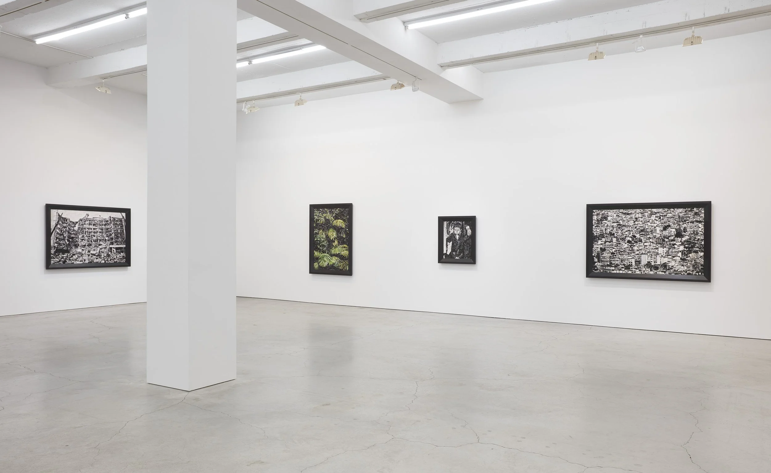 Muniz installation view SJCo 2-2022-15.jpg