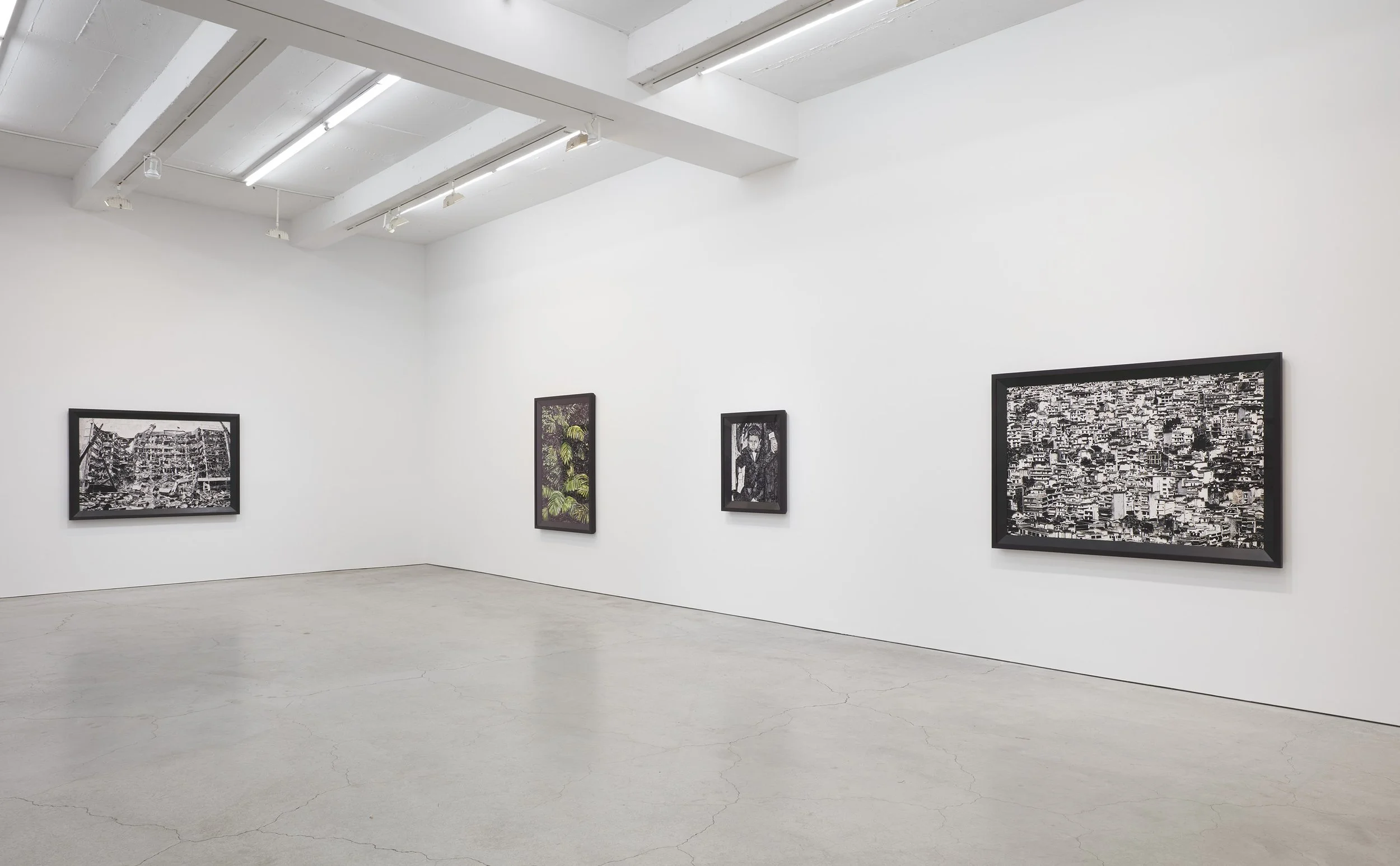 Muniz installation view SJCo 2-2022-8.jpg