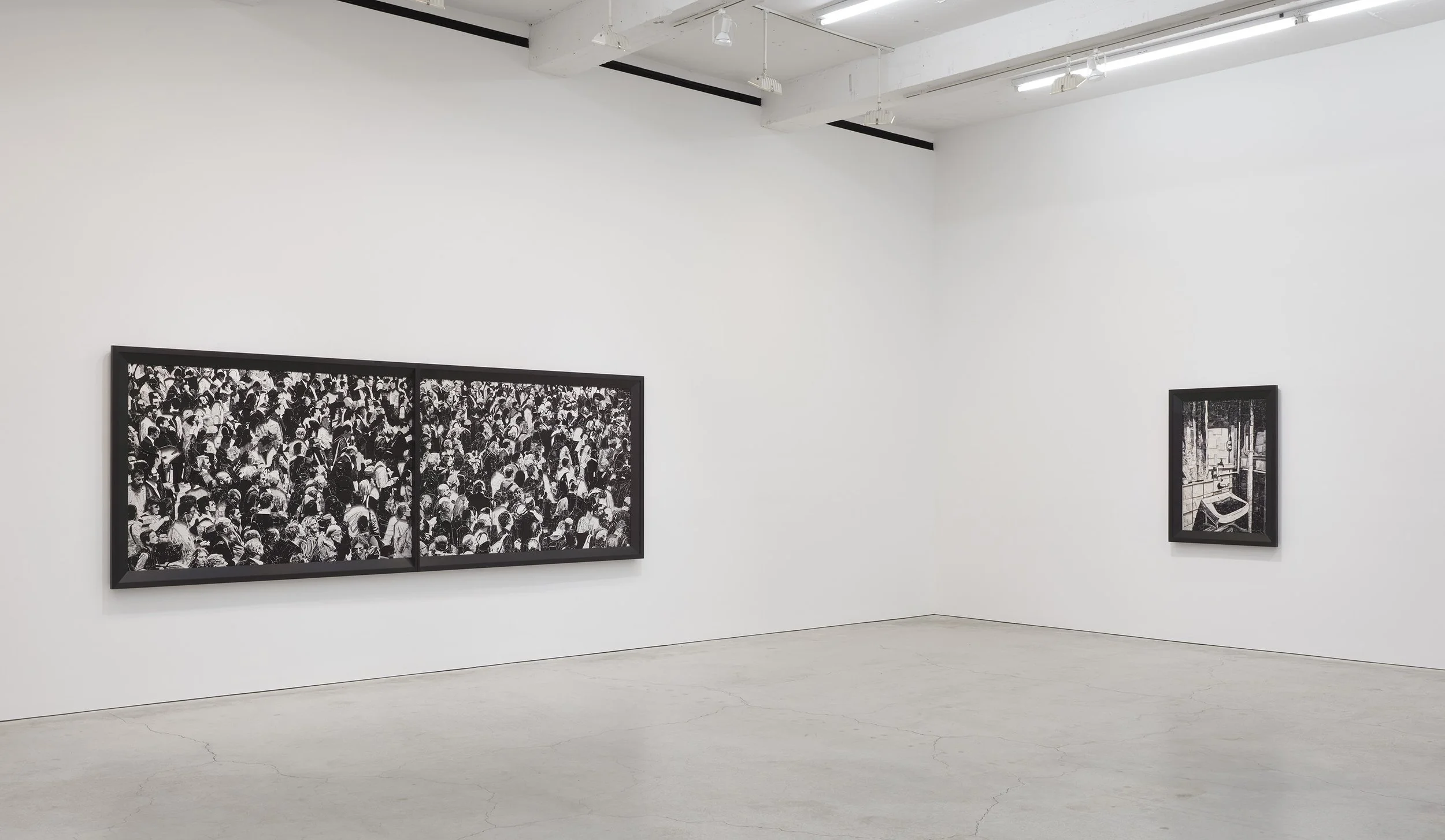 Muniz installation view SJCo 2-2022-5.jpg