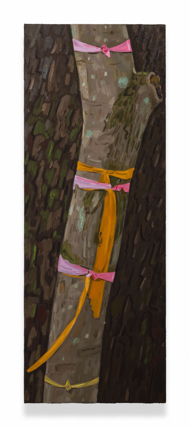 Pink Ties, 2017