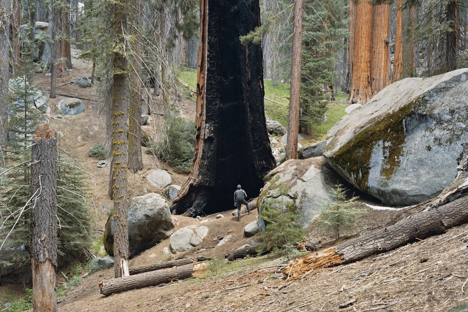 "Photographer Mitch Epstein explores America's roots."