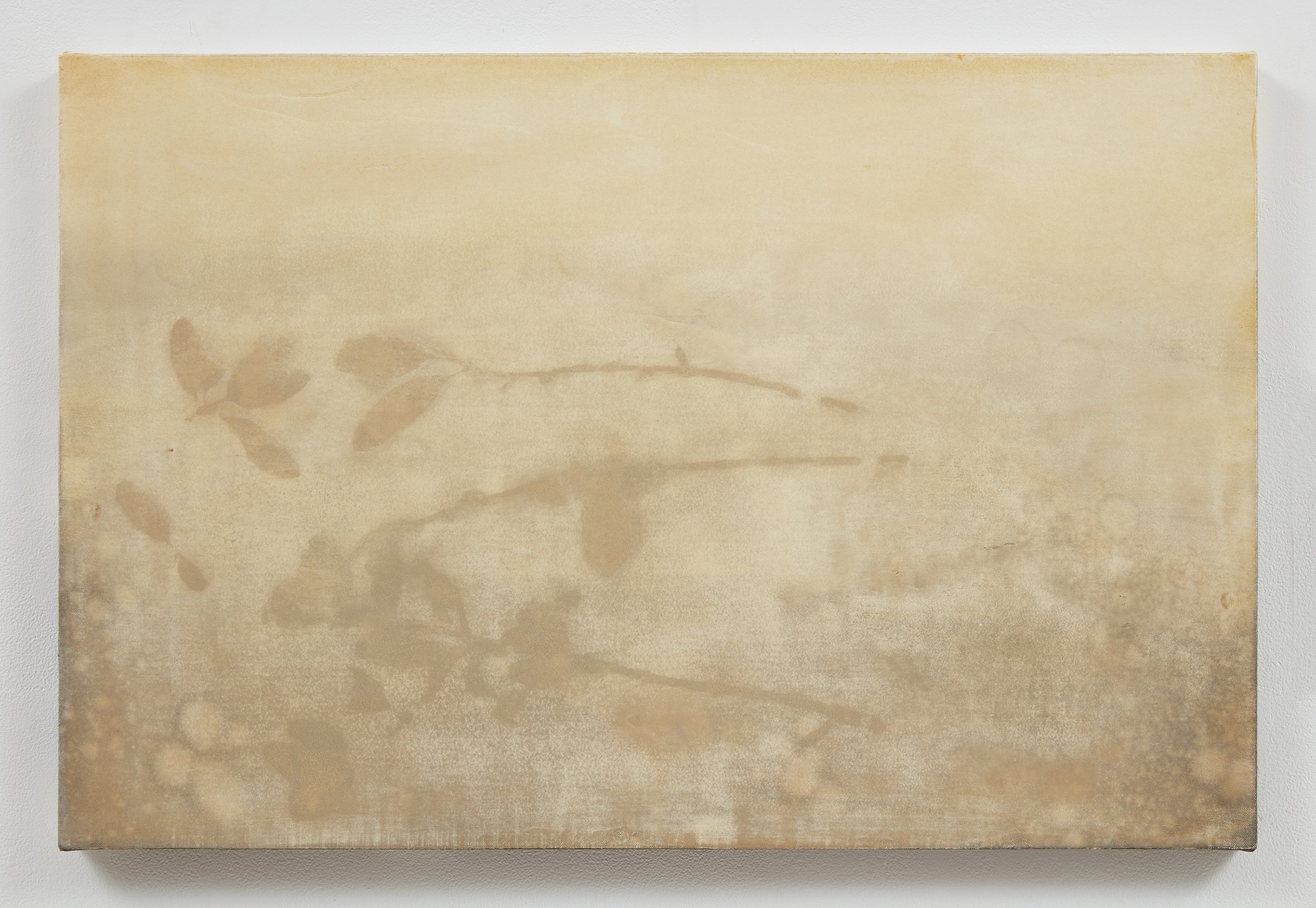 At the mouth of the Niobara River, September 4, 1804, 2025
