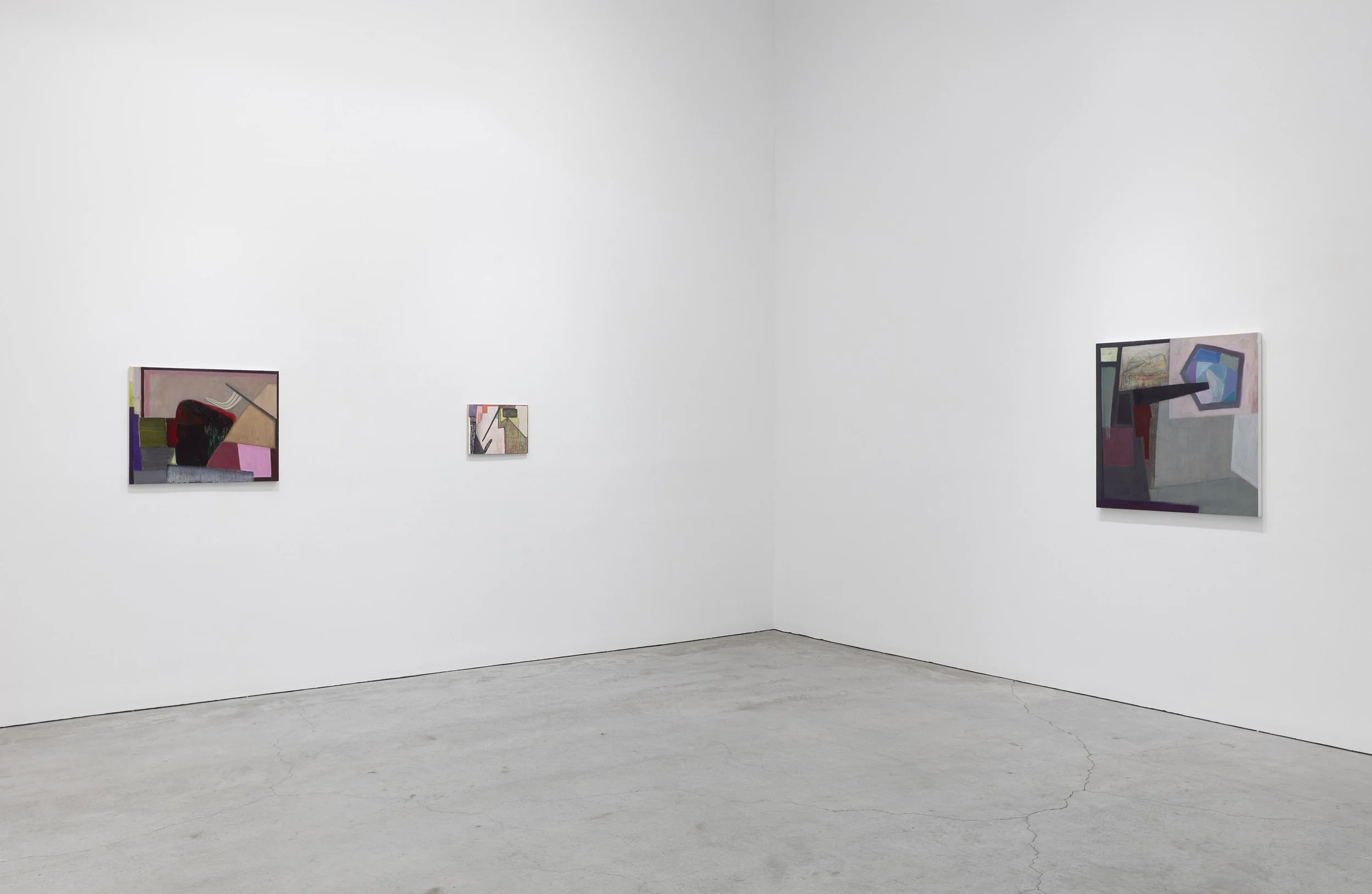 Goodman installation view SJCo 2-2026 13.jpg