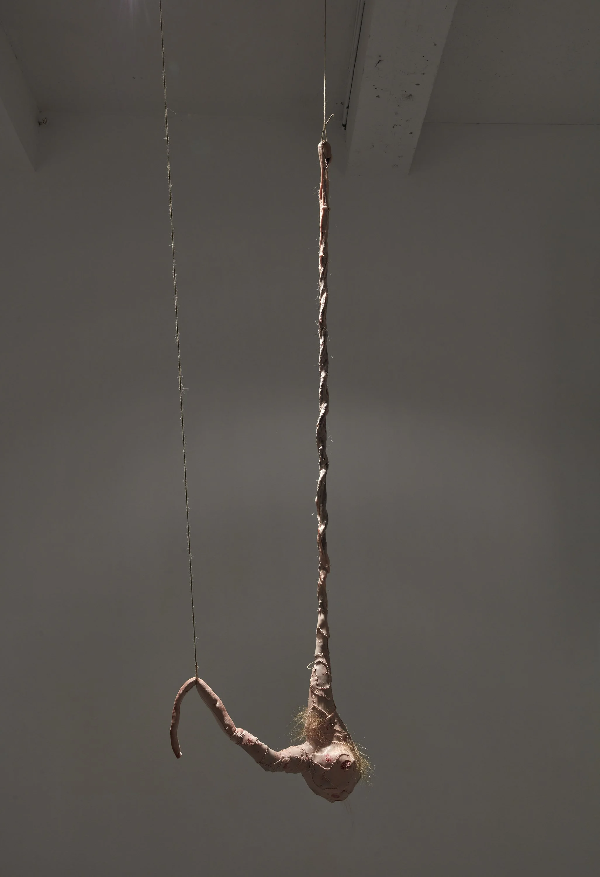 The White Male Parasite, 2026