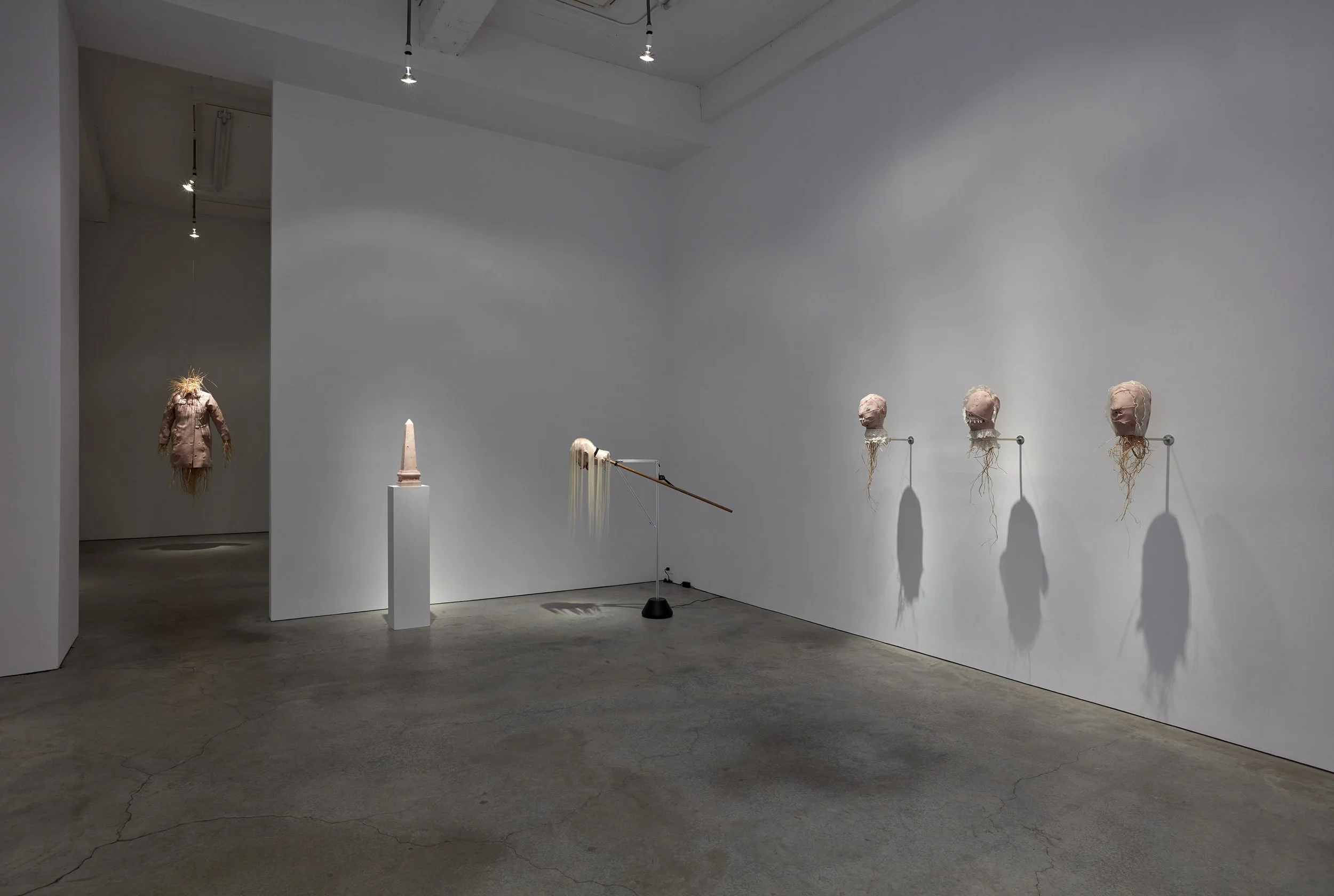 Cobra installation view SMJ 03-2026 14.jpg